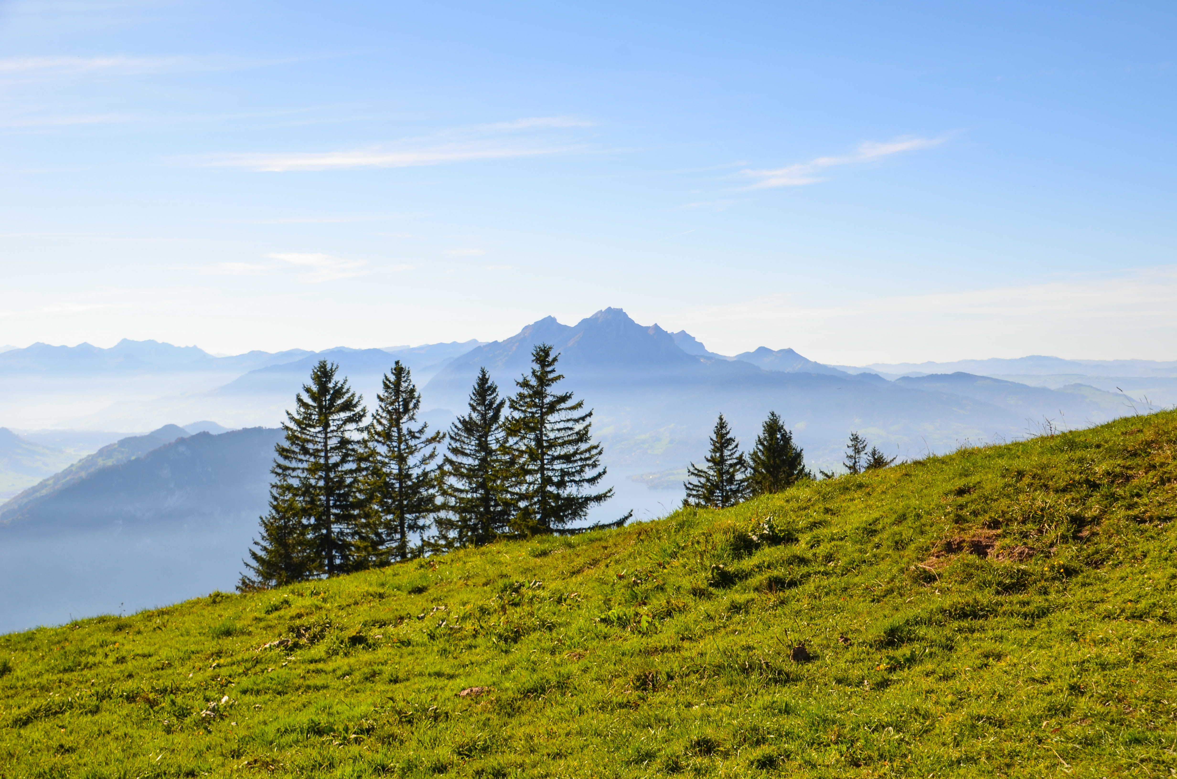 summit, hiking, outdoors, mountain peak, nature, non-urban scene, pine woodland, distant view, sun, holidays, landscape, mountain range, environment, tree, HD Wallpaper