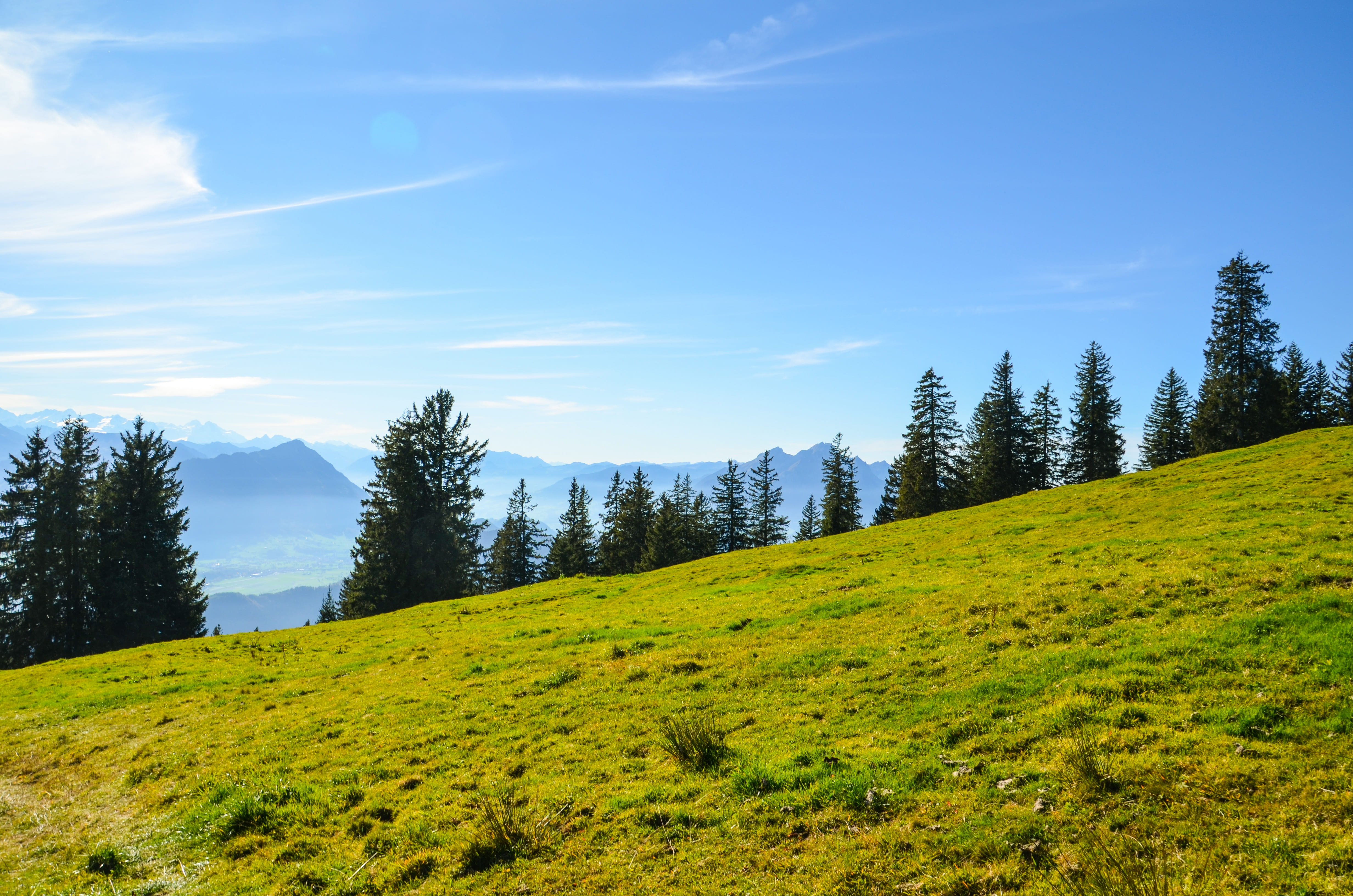 trail, plant, rigi, growth, scenics - nature, nature, forest, switzerland, green color, tranquility, distant view, coniferous tree, outdoors, cloud - sky, HD Wallpaper