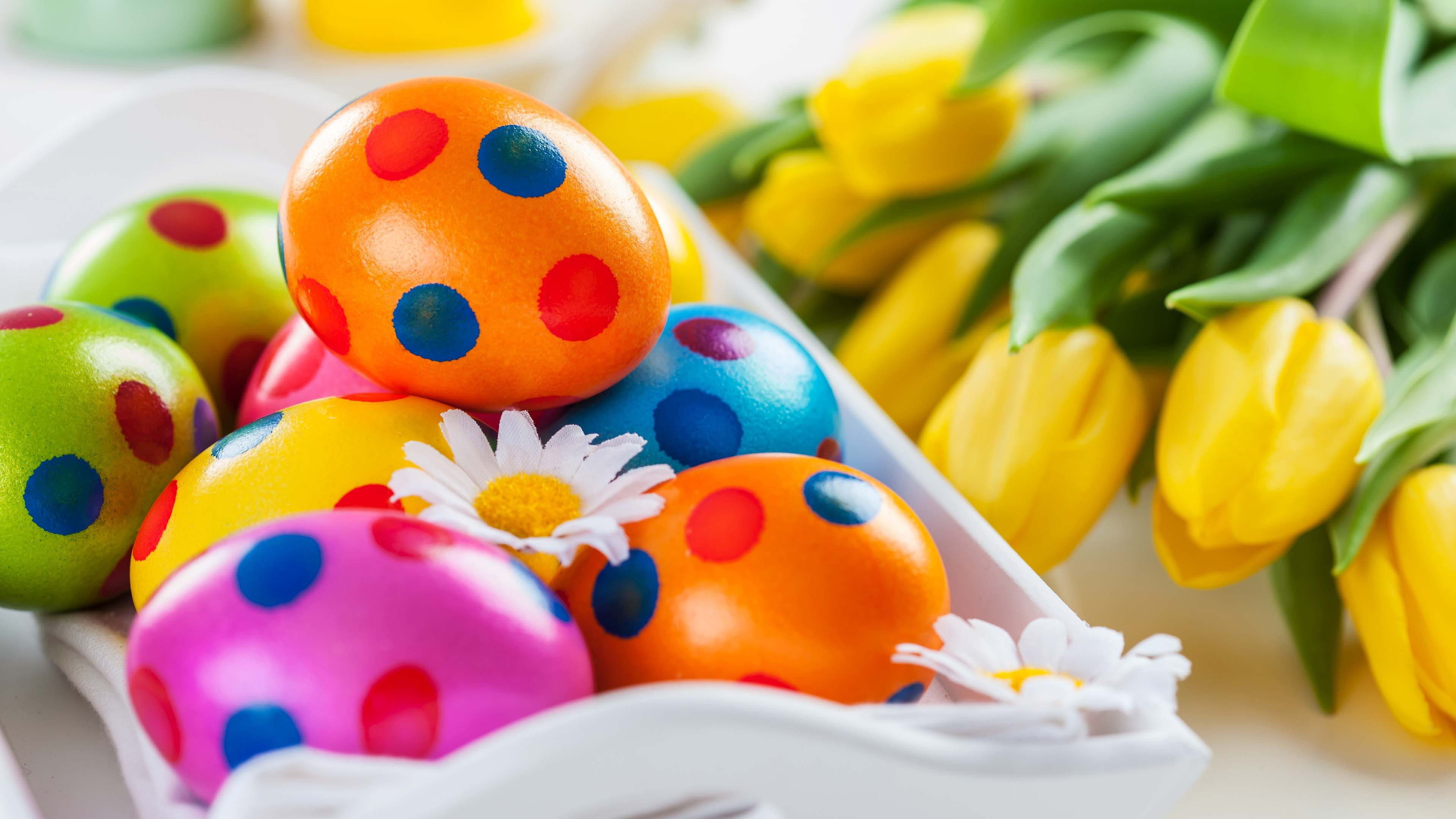 eating, tasty, toy, fresh, selective focus, easter egg, close-up, color, 4K, food, egg, container, dessert, celebration, no people, gourmet, april, pink, HD Wallpaper