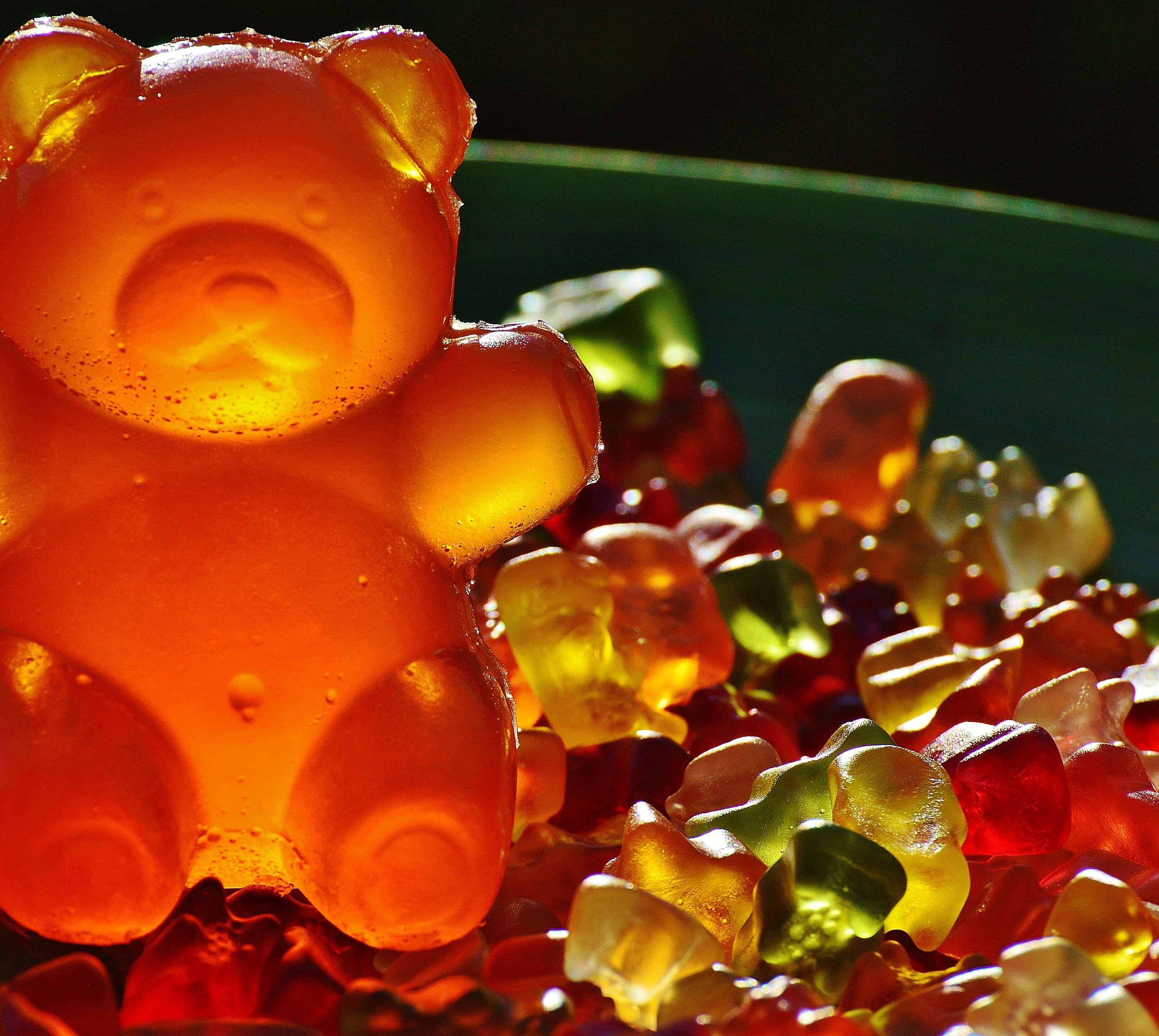 bear, focus on foreground, gummibr, sugar, large group of objects, brand, orange color, blur, fruit gums, alcohol, drinking glass, close-up, gummibrchen, HD Wallpaper