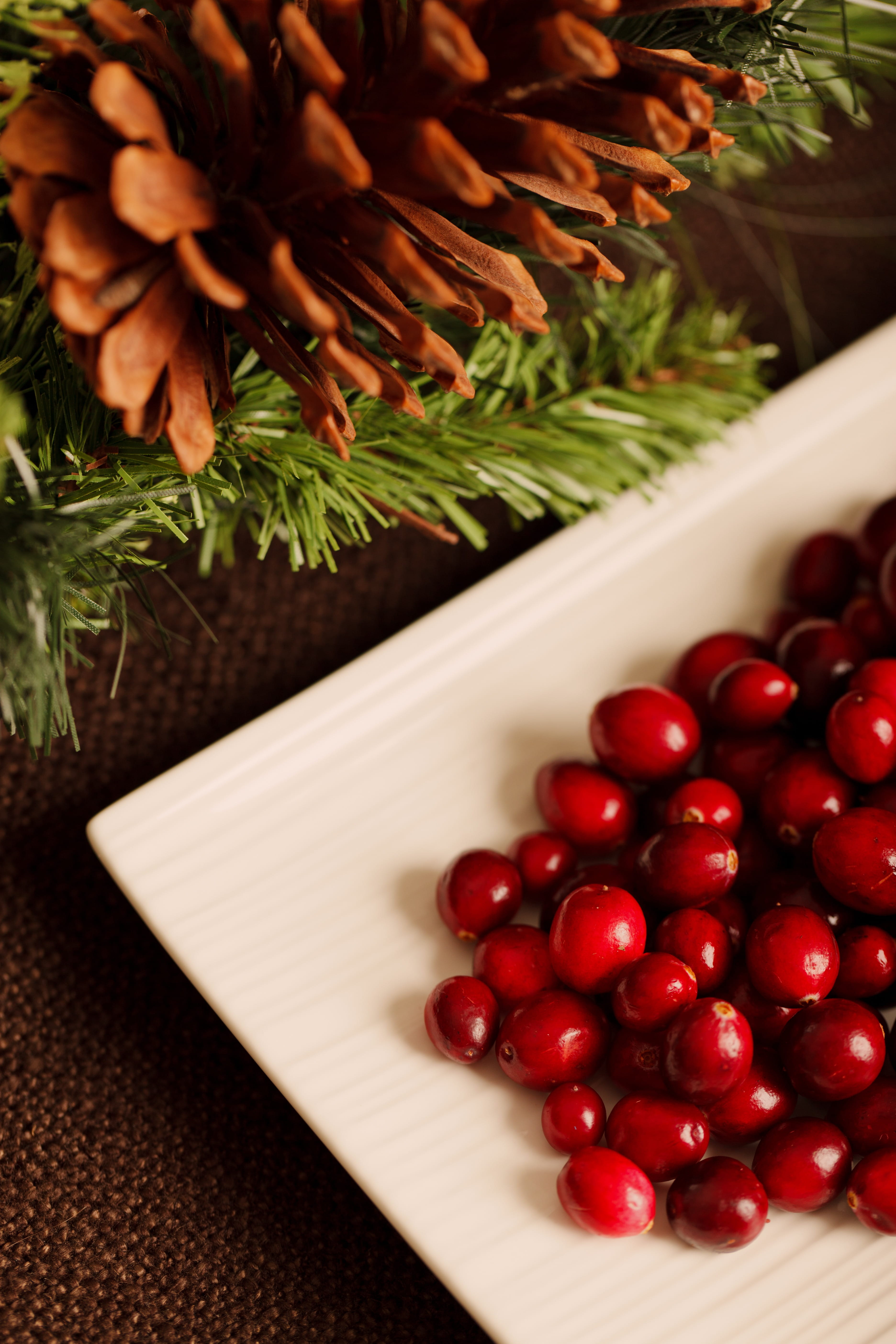 indoors, no people, white, Background, ripe, ceramic, 5K, freshness, close-up, healthy eating, Cranberry, round, diet, food, ruby, Christmas, food and drink, Phone HD Wallpaper