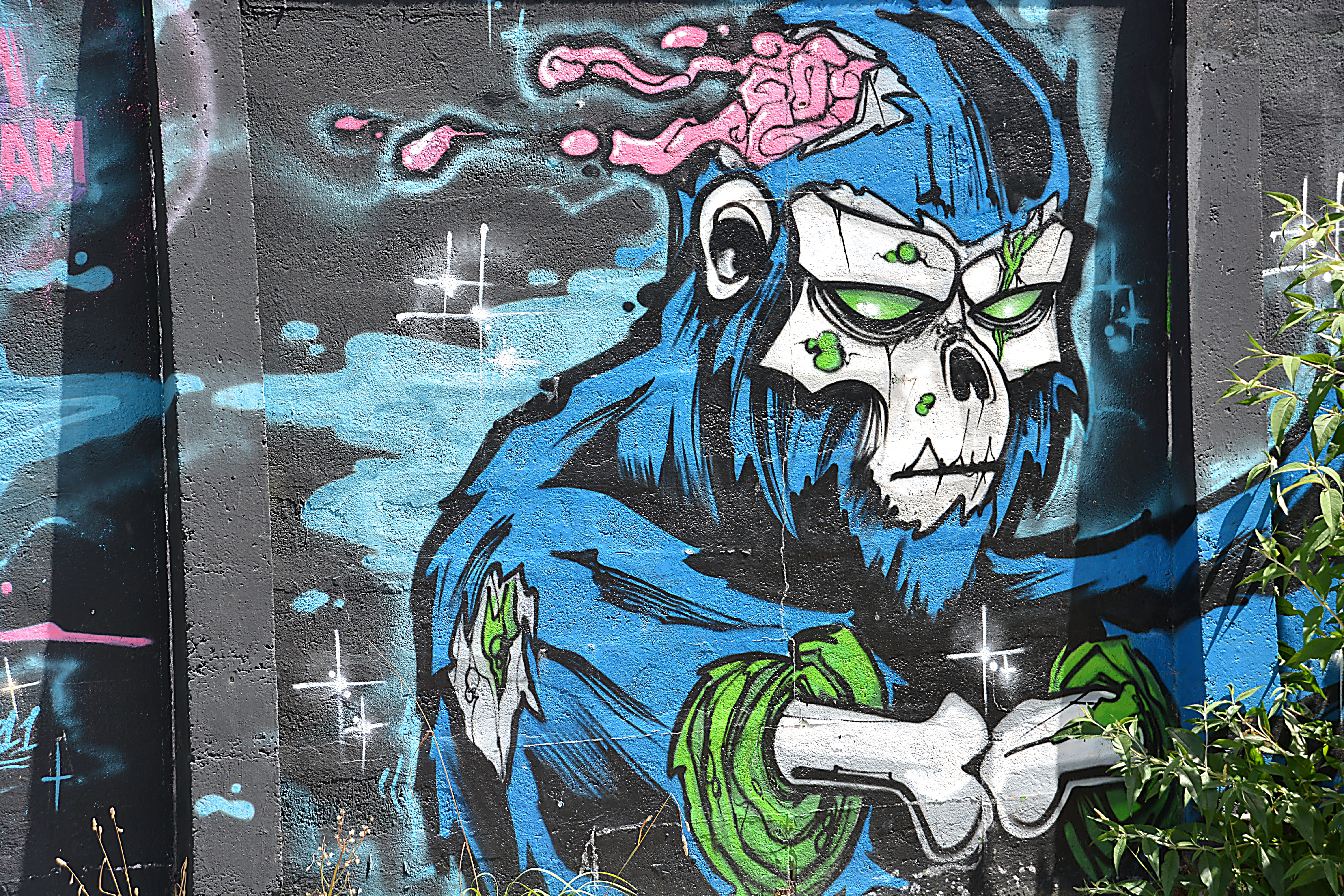 green, representation, city, day, street art, pattern, human representation, wall art, art and craft, painting, painted walls, multi colored, monkey, backgrounds, HD Wallpaper