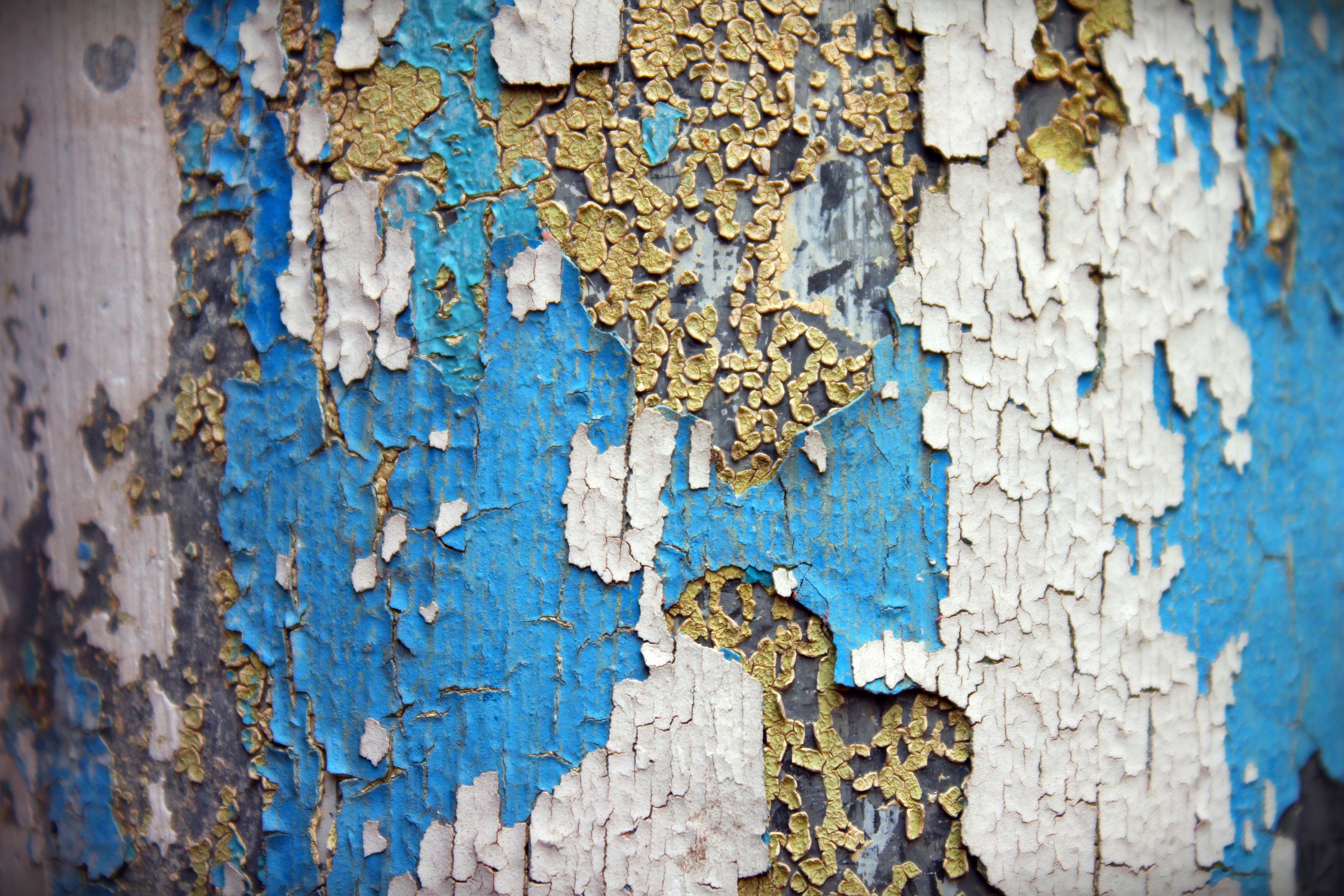 architecture, peeling Off, textured, weathered, day, painted, outdoors, texture, wall - building feature, deterioration, built structure, backgrounds, 2K, HD Wallpaper