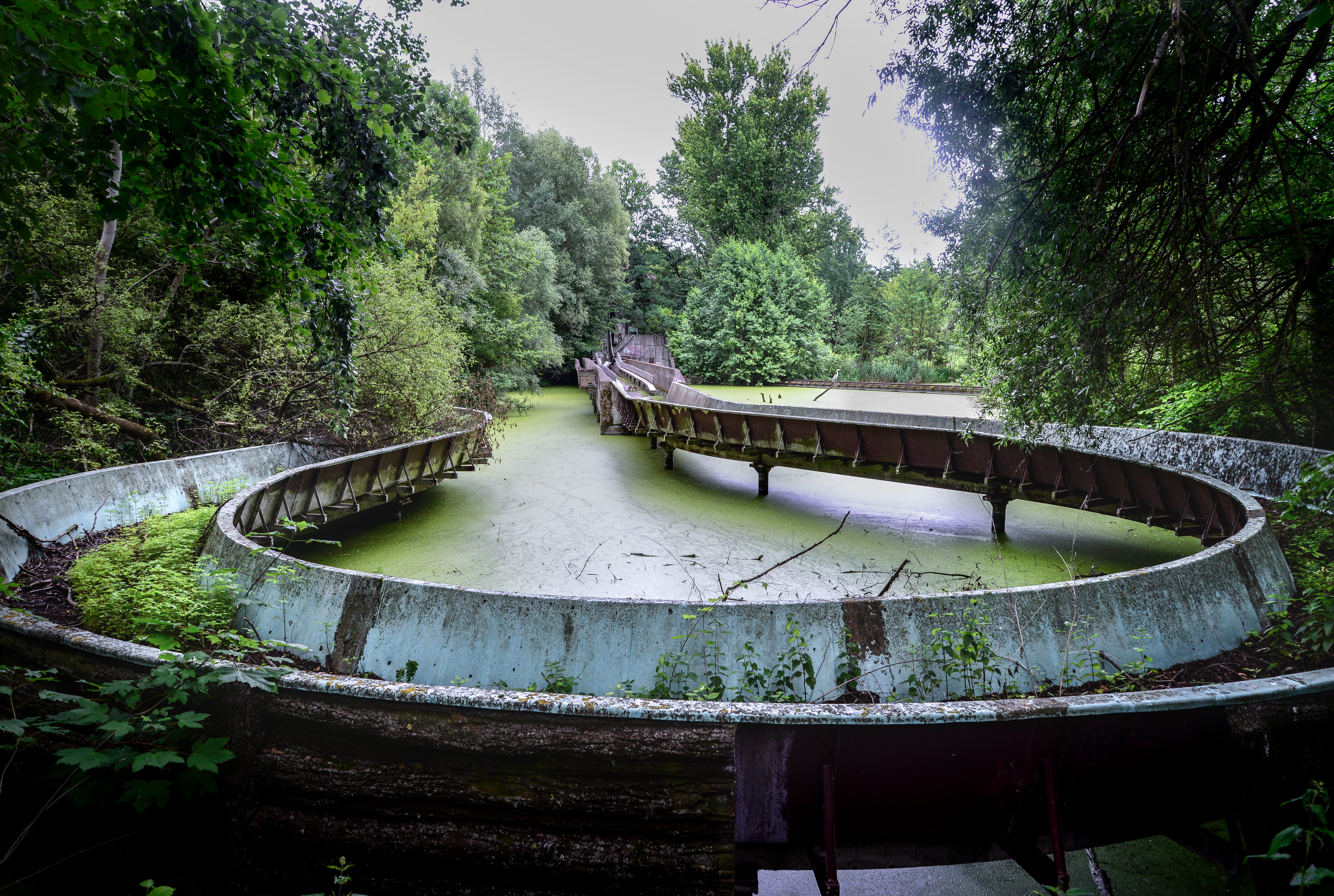 germany, day, outdoors, log ride, 5K, spreepark, wild, natural decay, decay, green color, beauty in nature, abandoned architecture, urban adventure, urbex, HD Wallpaper