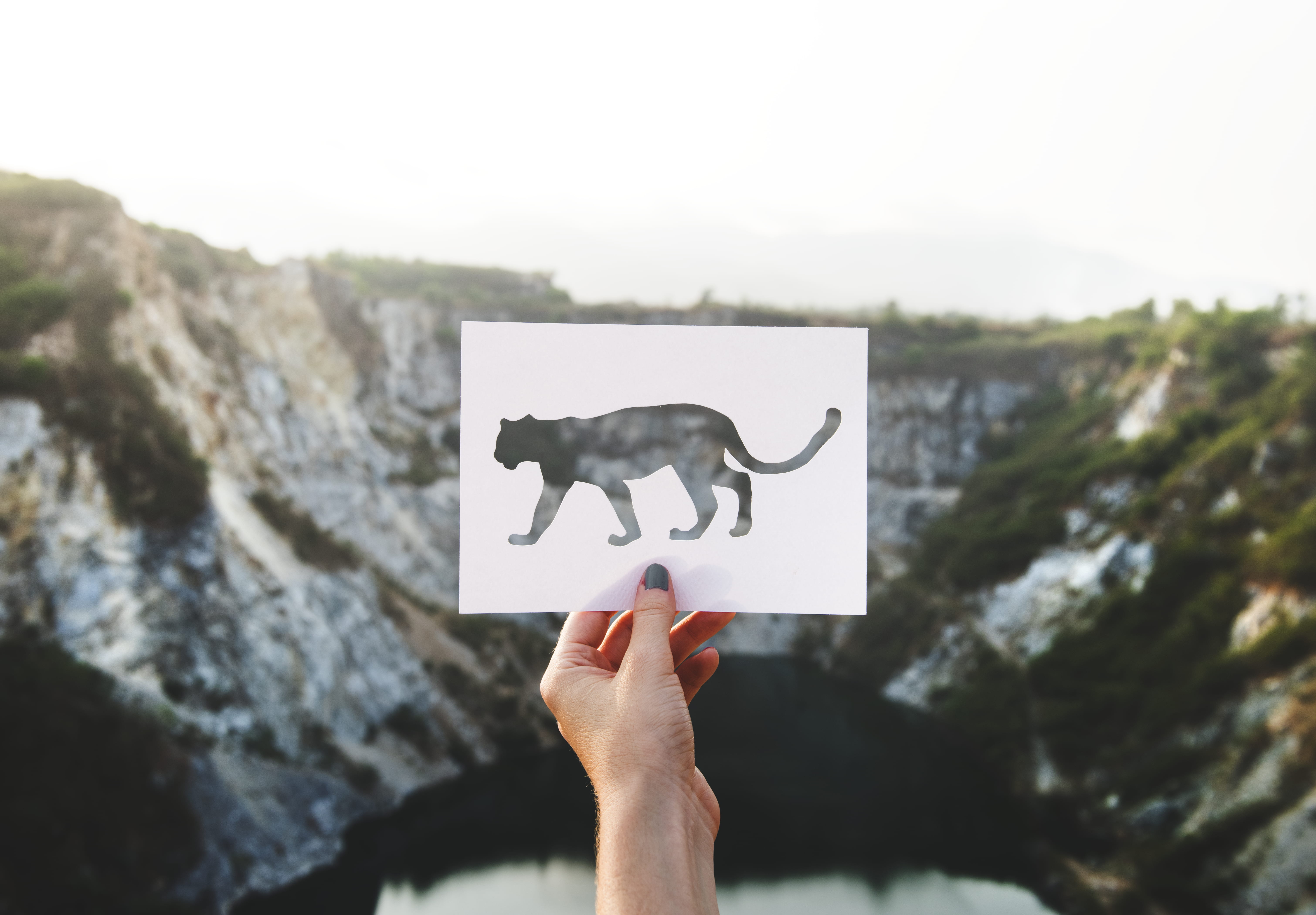 one person, photo, lake, landscape, sign, paper, lady, body part, day, text, panther, forest, communication, tiger, leisure activity, unrecognizable person, HD Wallpaper