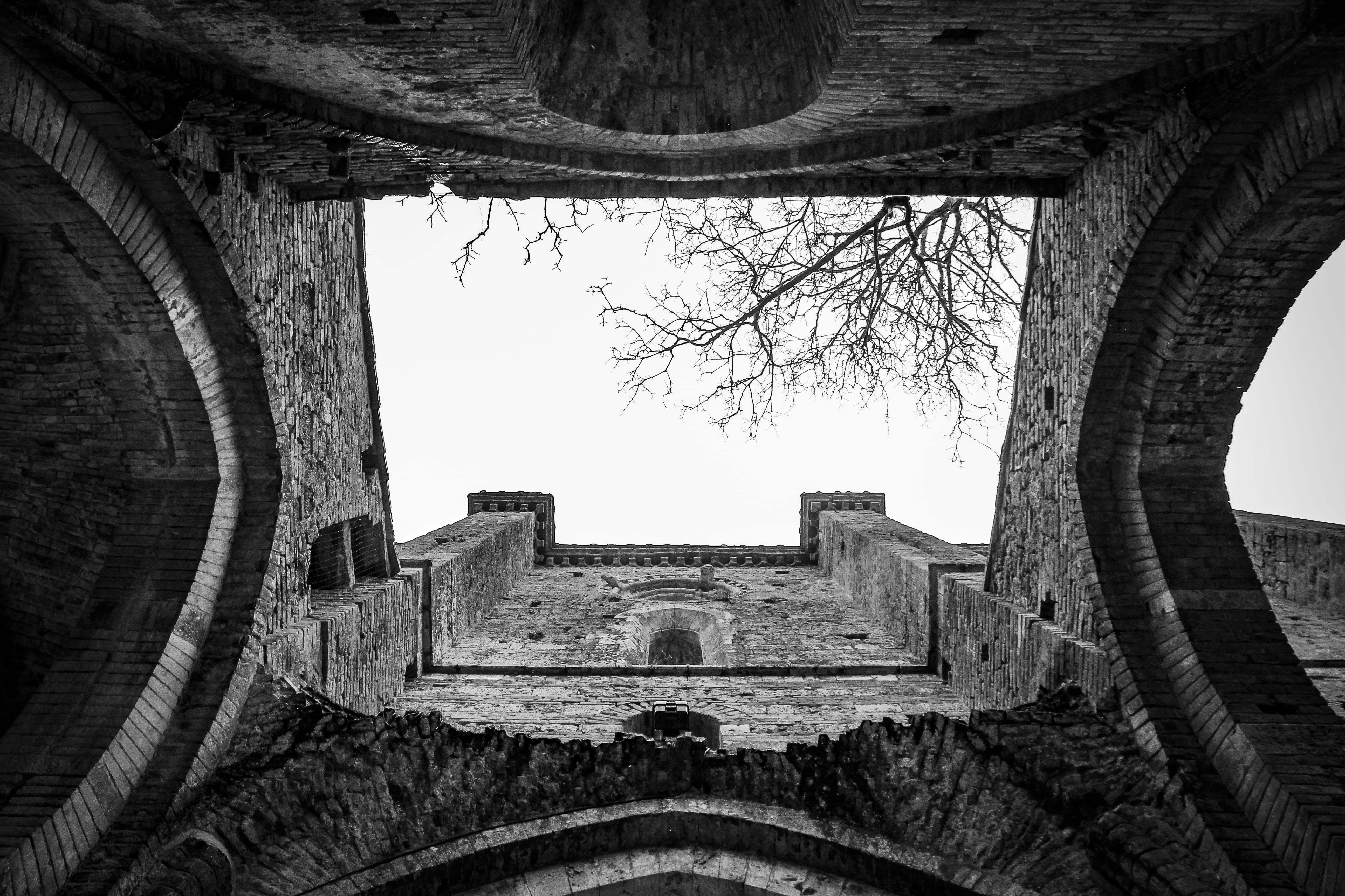 ground, grayscale, clear sky, pet, outdoors, sky, crypt, wall, old, hole, directly below, concrete, architecture, the past, damaged, black cat, plant, fisheye, HD Wallpaper