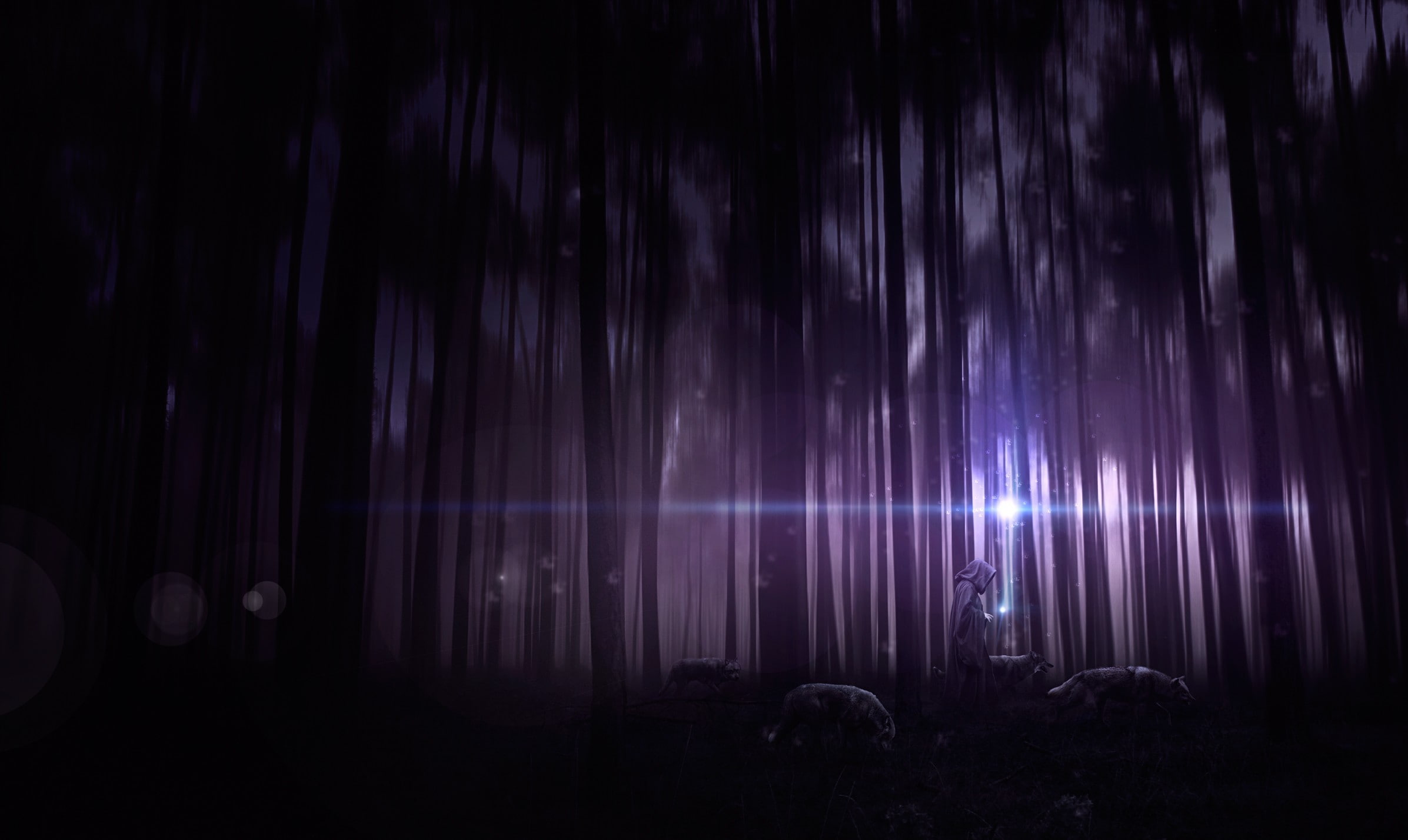 forest, spotlight, moonlight, star field, beauty in nature, astronomy, people, stage, science, thicket, no people, hood, nightlife, art, nature, night, HD Wallpaper