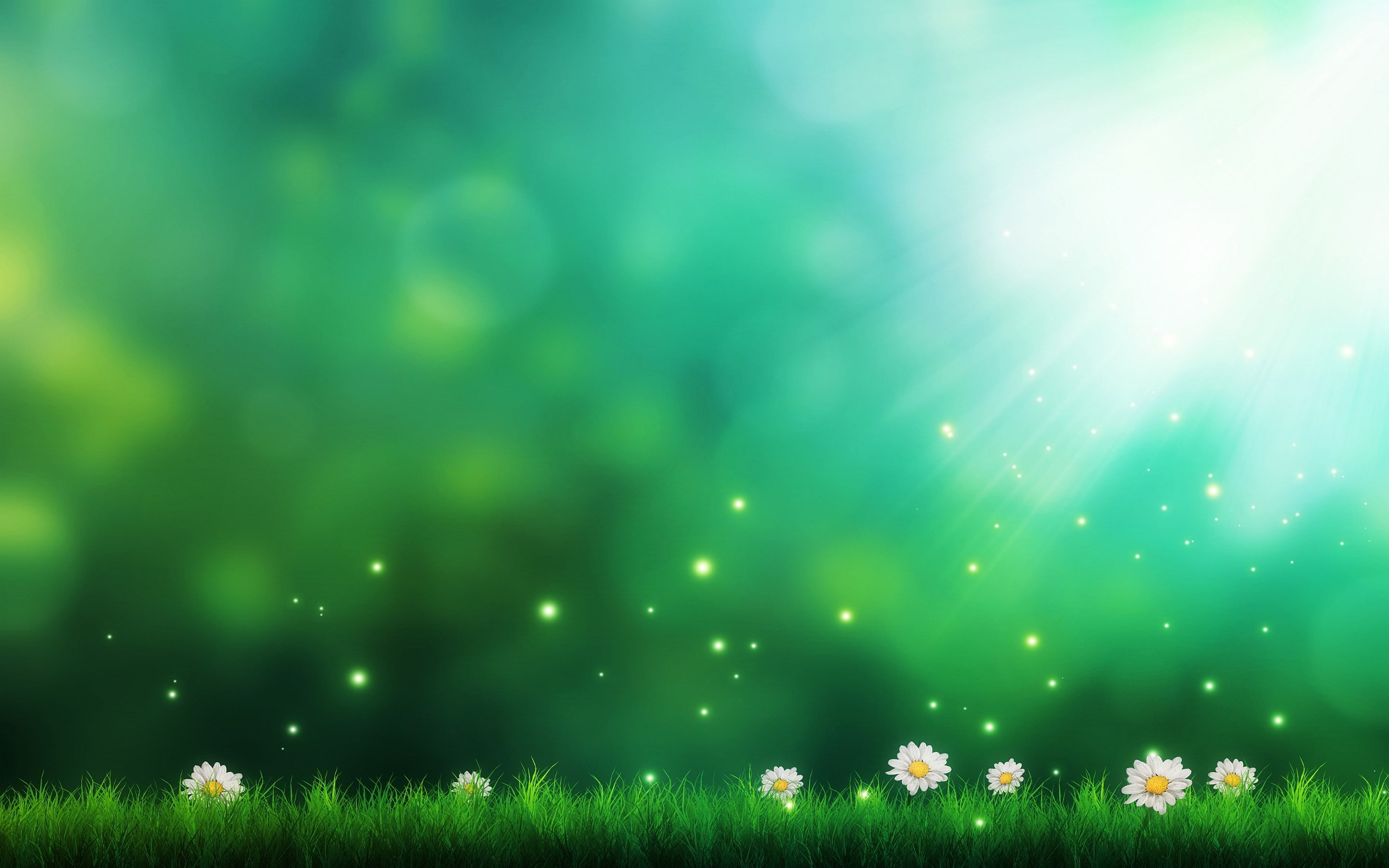 x, Sun Rays, 2880x1800 px, art, hd, grass, daisies, sun, px, rays, 2K, touhou, HD Wallpaper