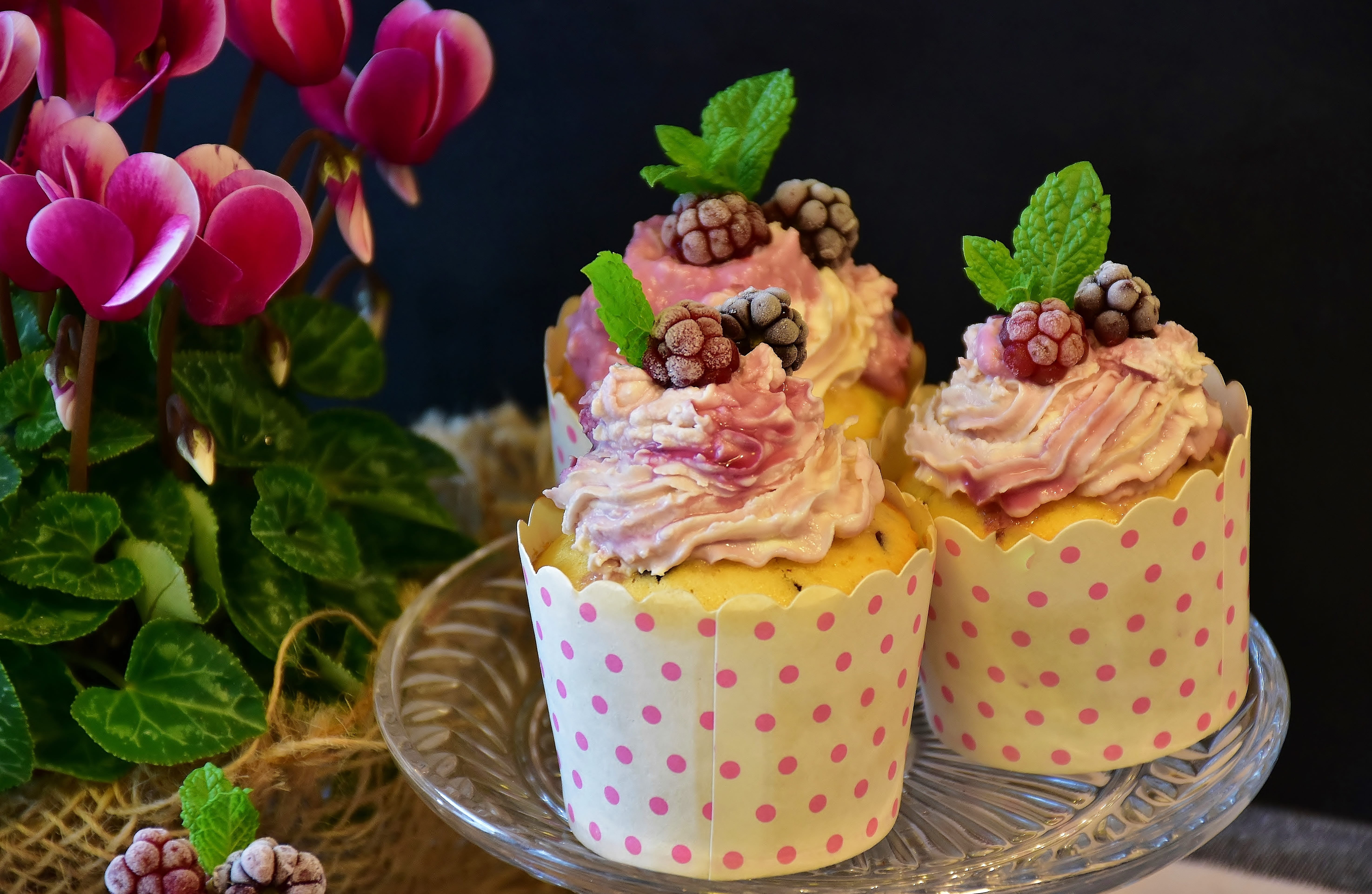 coffee party, unhealthy eating, indoors, white, cake decorations, flowering plant, candy, tart, ingredients, sweet, sweet dish, calories, plant, eat, close-up, HD Wallpaper