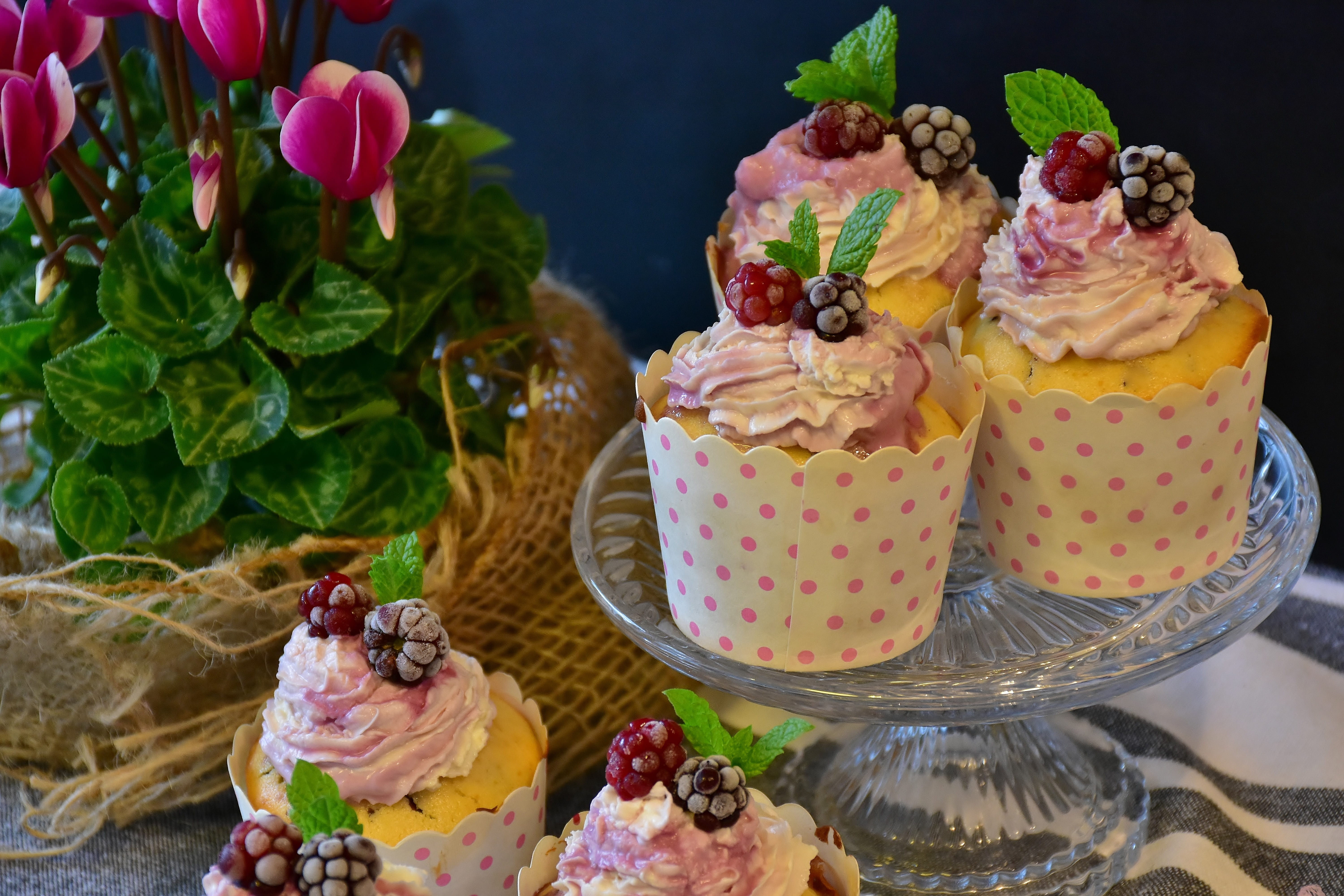 glass, fruit, tart, foodfoto, sweet, pastries, form, sweet dish, craft, confiserie, cream, dessert, cake, calories, 5K, food photography, preparation, HD Wallpaper