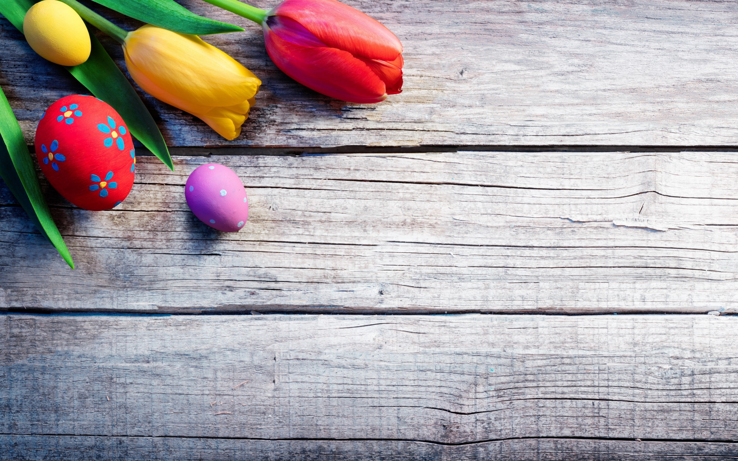 2K, easter, tulips, celebration, plank, eggs, Krashenki, flowers, HD Wallpaper
