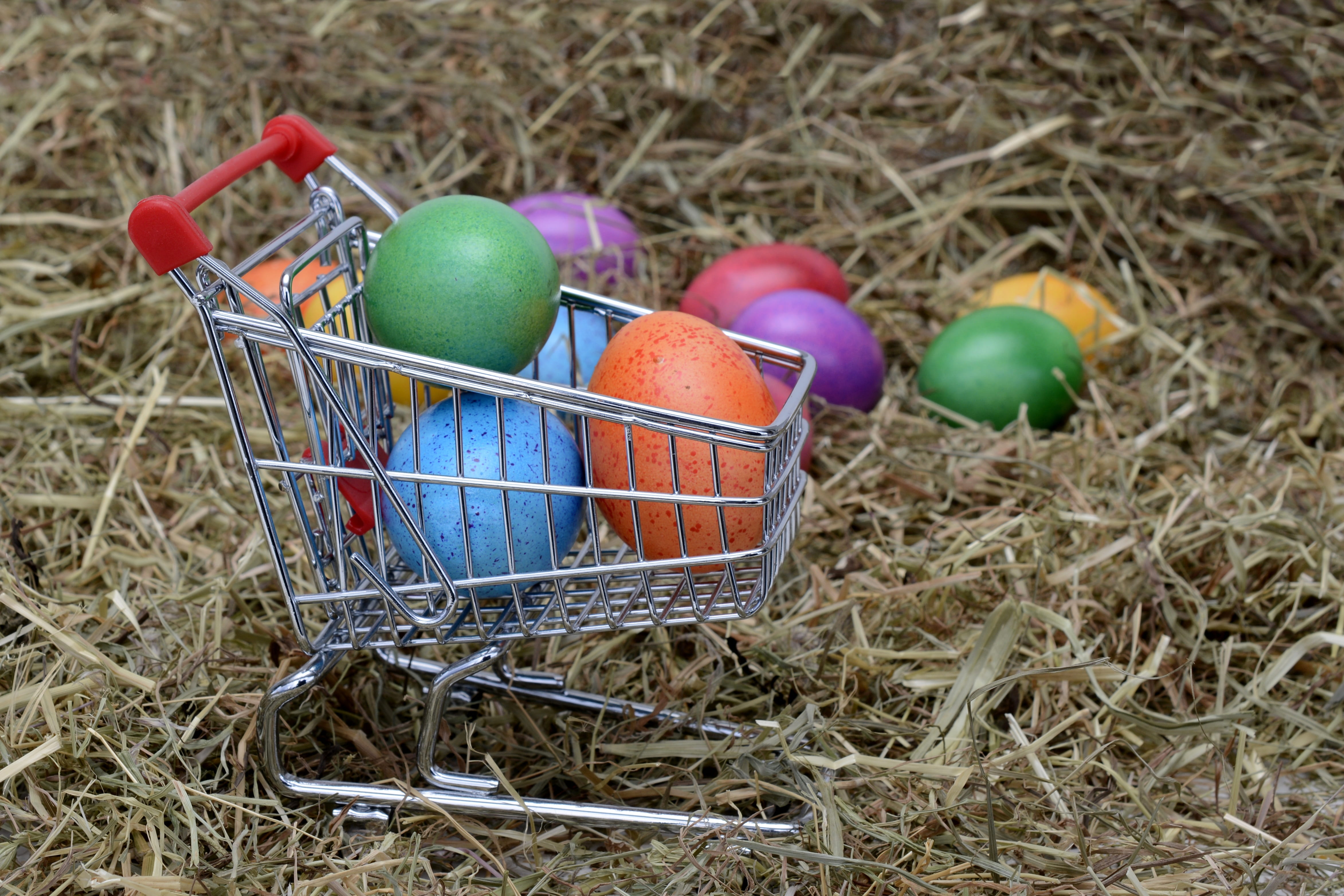 holiday, easter decoration, plant, freshness, 4K, decoration, shopping cart, colorful, fruit, group of objects, multi colored, chicken eggs, animal nest, HD Wallpaper