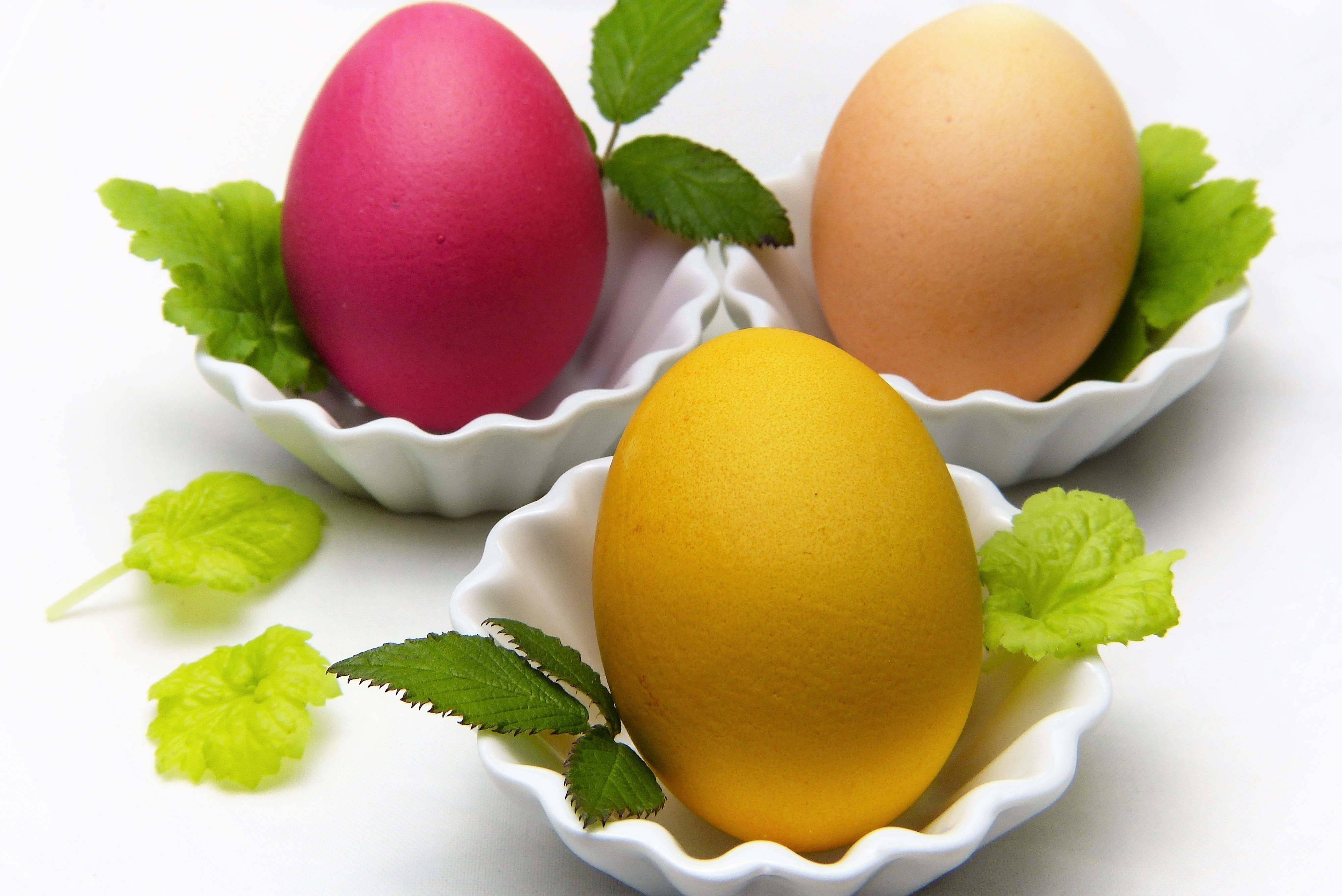 children, nature, fresh, eggs, three, fruit, fresh green, tinker, easter holidays, spring, raw food, food and drink, dye eggs, white background, groceries, HD Wallpaper