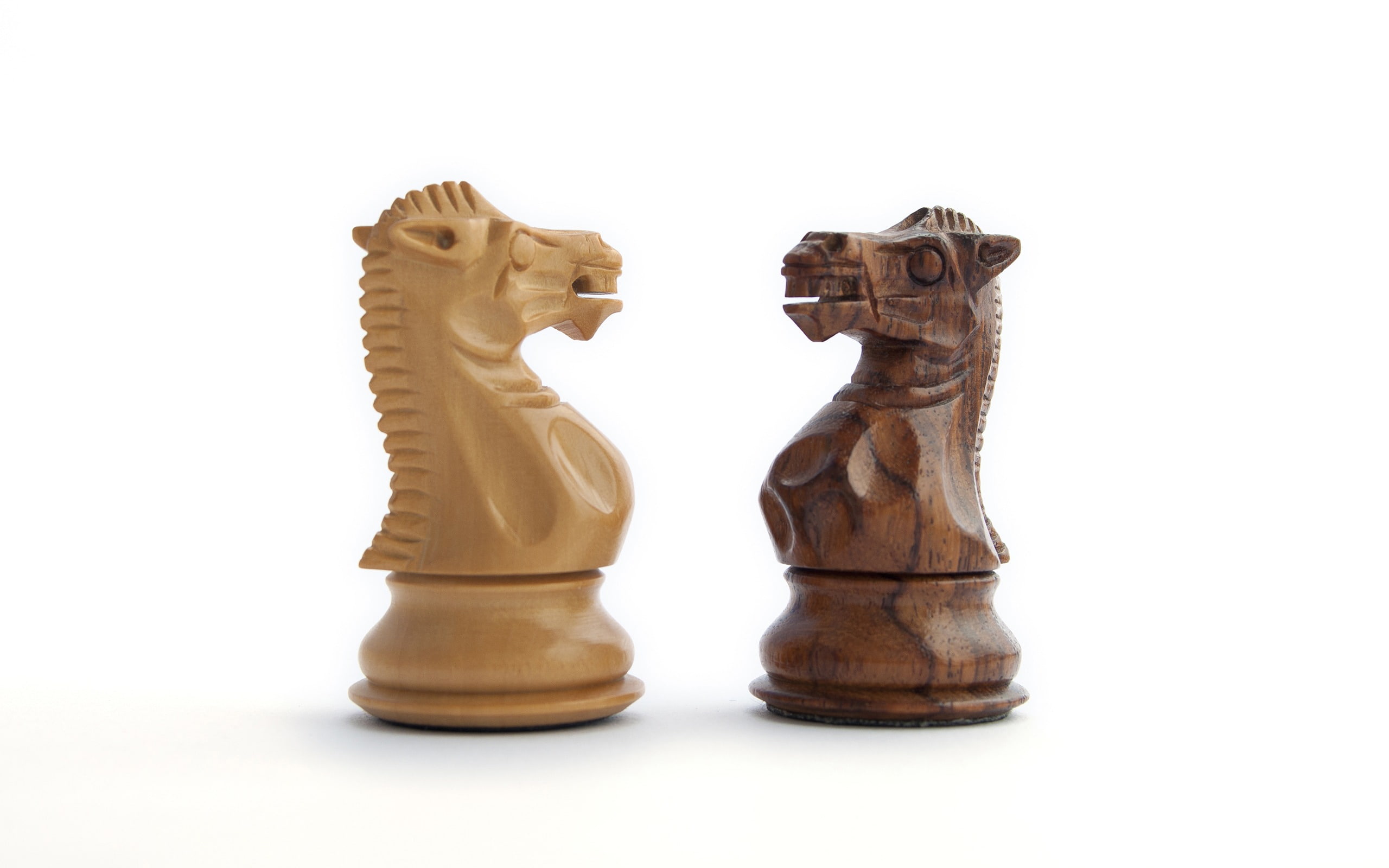 animal, wood - material, indoors, mammal, hd, knight - chess piece, widescreen, sport, white background, strategy, game, theme, relaxation, 2K, board game, HD Wallpaper