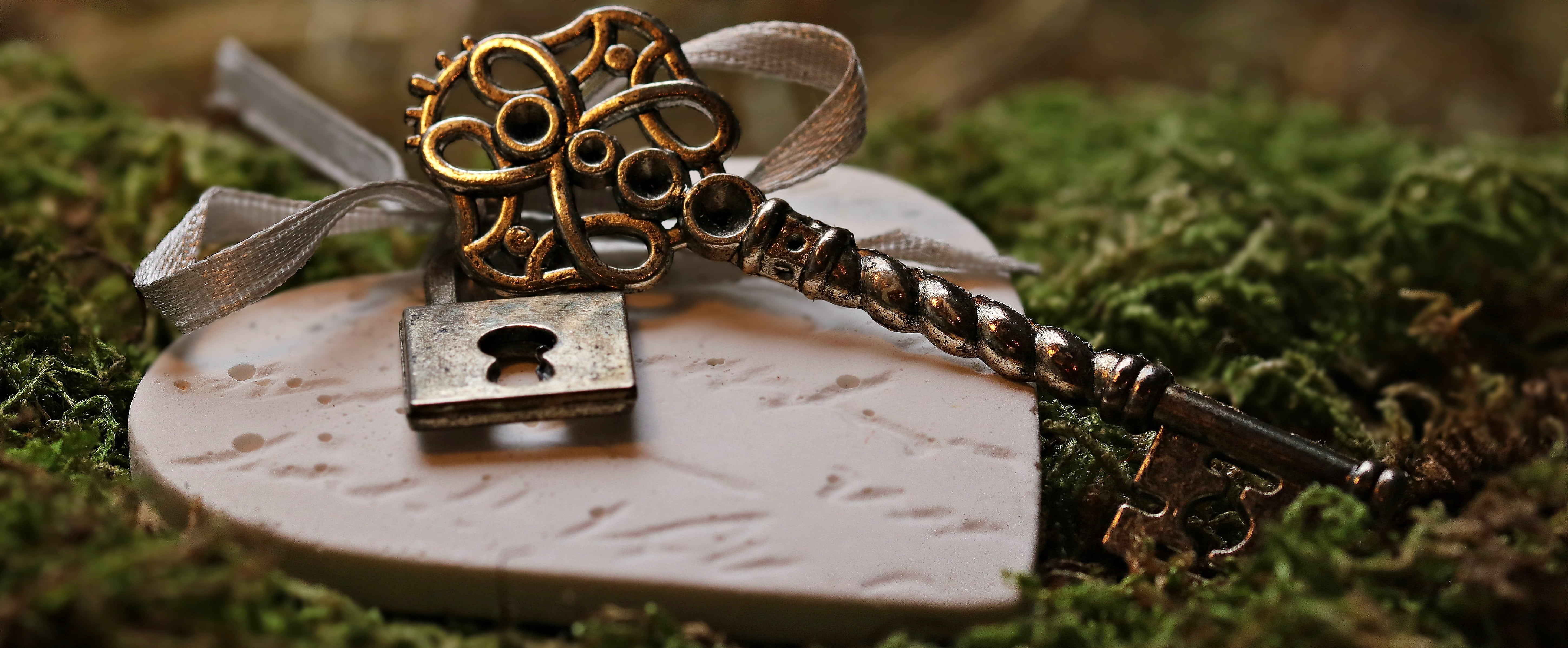 romance, postcard, jewelry, close-up, skeleton, friendship, water, set, feelings, moss, antique, padlock, plant, metal, day, heart, finance, brass, love, HD Wallpaper