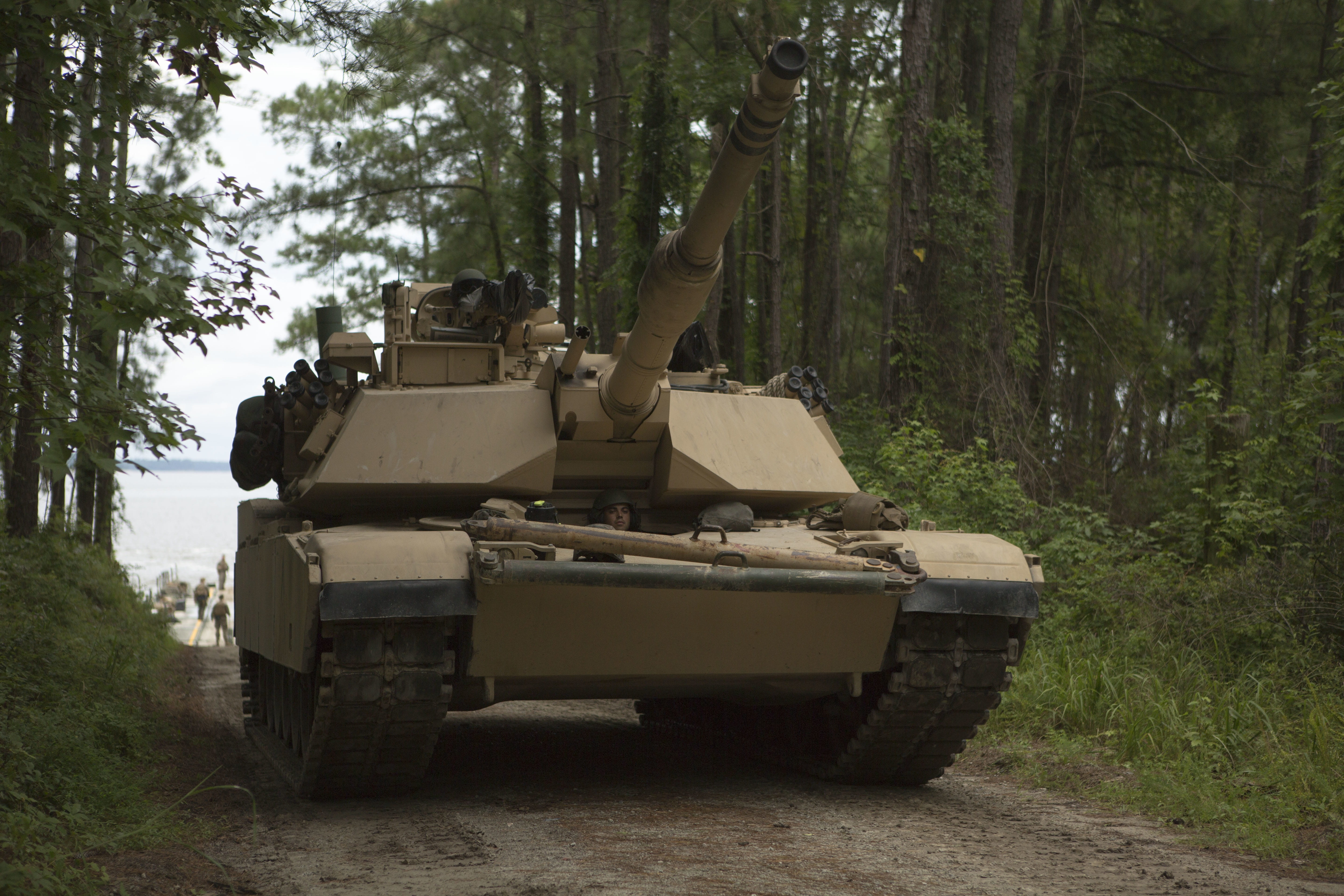 growth, mode of transportation, outdoors, land vehicle, tank, movement, marines, armored, day, plant, armored tank, military, nature, trunk, usmc, dirt, HD Wallpaper