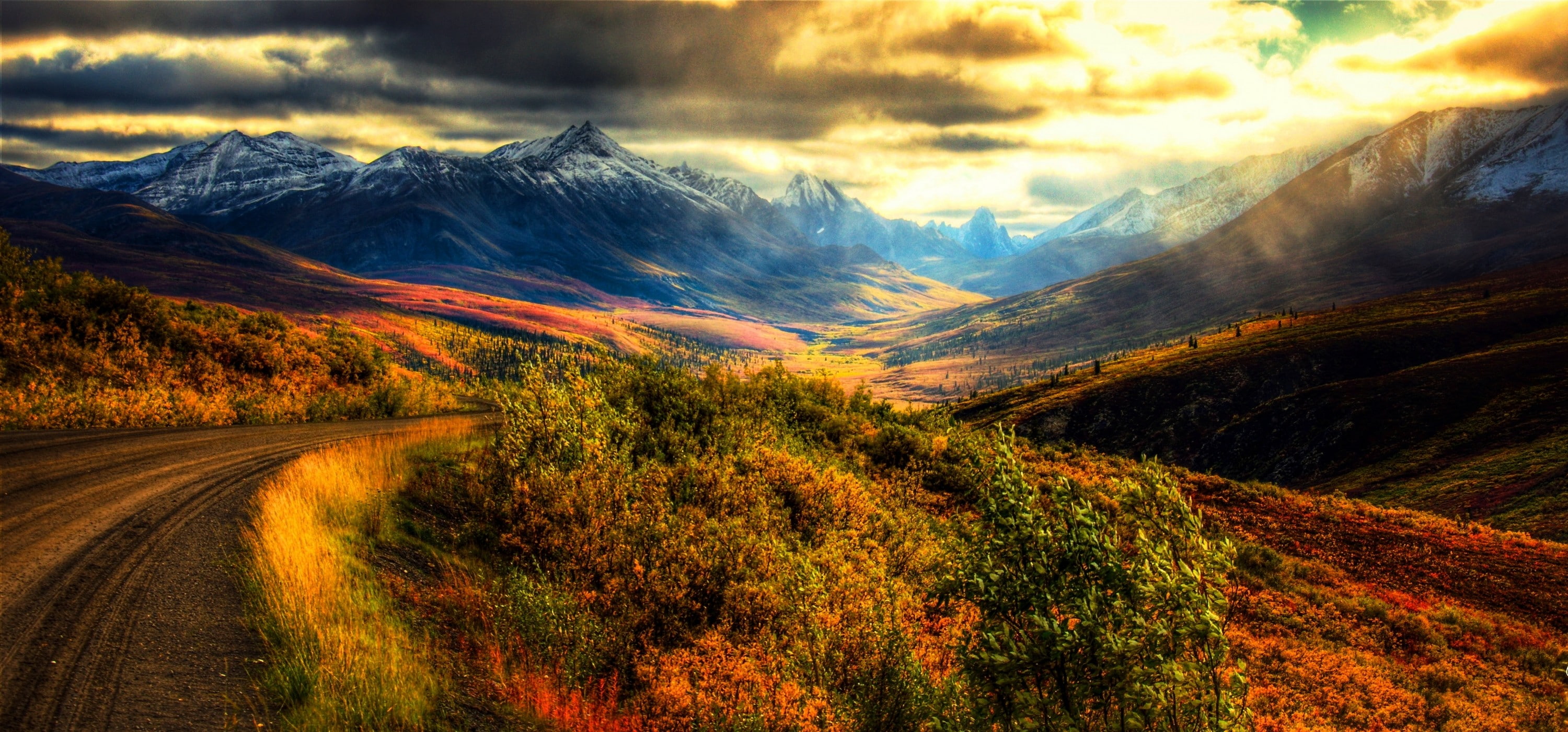 shrubs, dirt road, road, scenics - nature, cloud - sky, mountain, Canada, grass, panoramas, autumn, no people, nature, snowy peak, sky, beauty in nature, HD Wallpaper