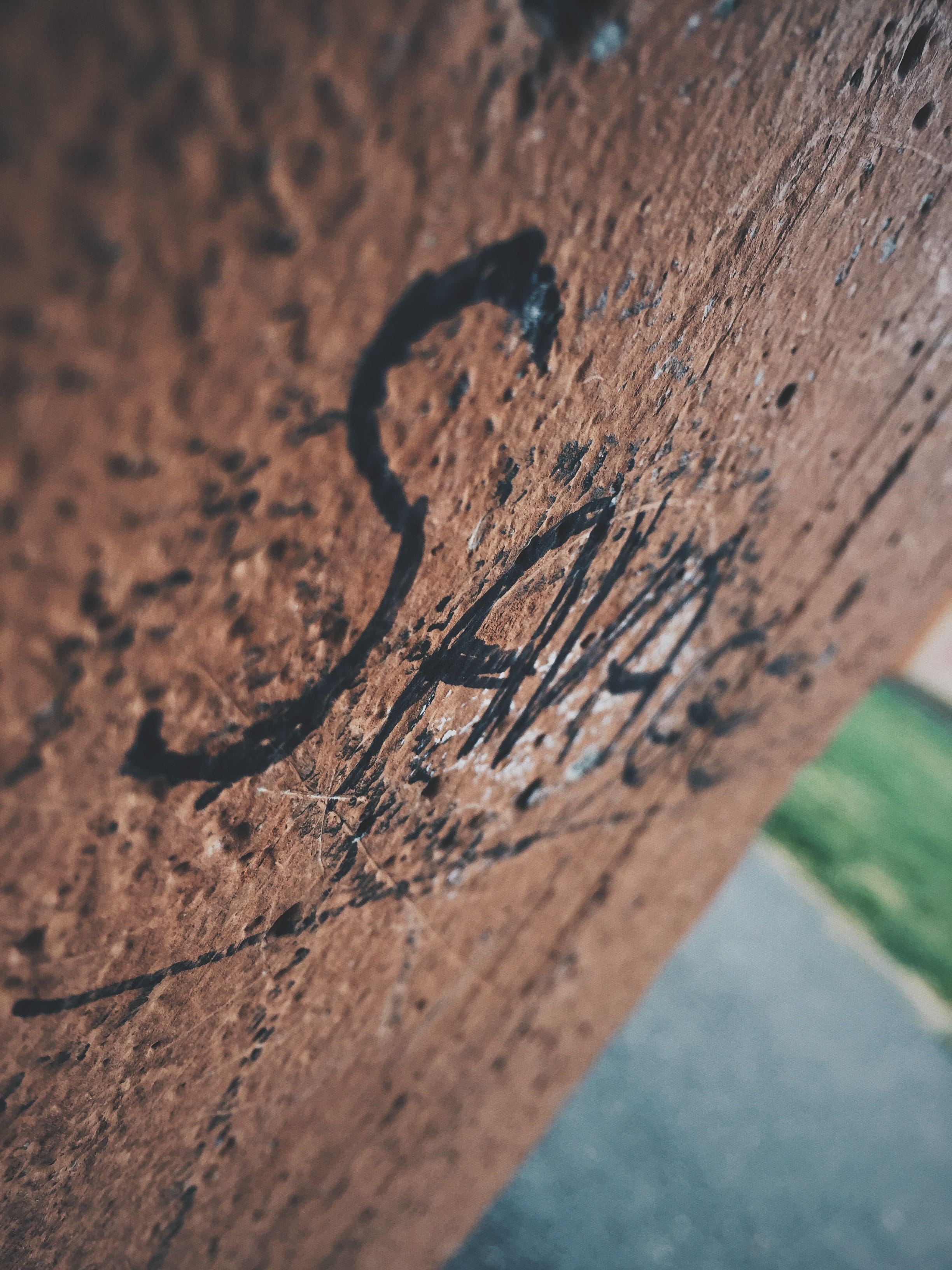 focus on foreground, tree, colomiers, tree trunk, plant, textured, wall, bark, tag, weathered, 2K, close-up, pattern, wood - material, rough, brown, day, Phone HD Wallpaper