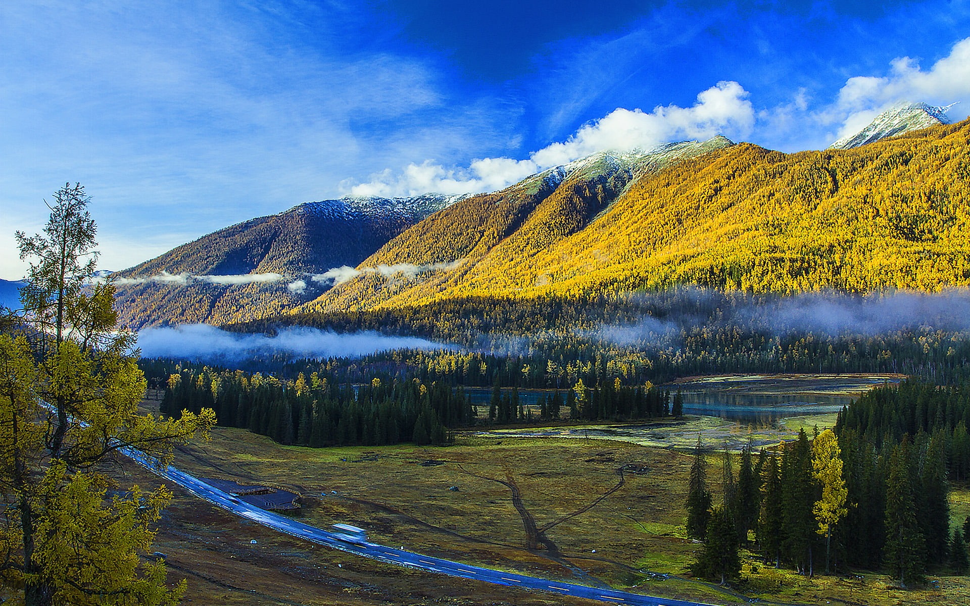 idyllic, day, growth, tranquil scene, 1080P, environment, xinjiang, photo, cloud - sky, china, wallpape, non-urban scene, landscape, scenics - nature, HD Wallpaper
