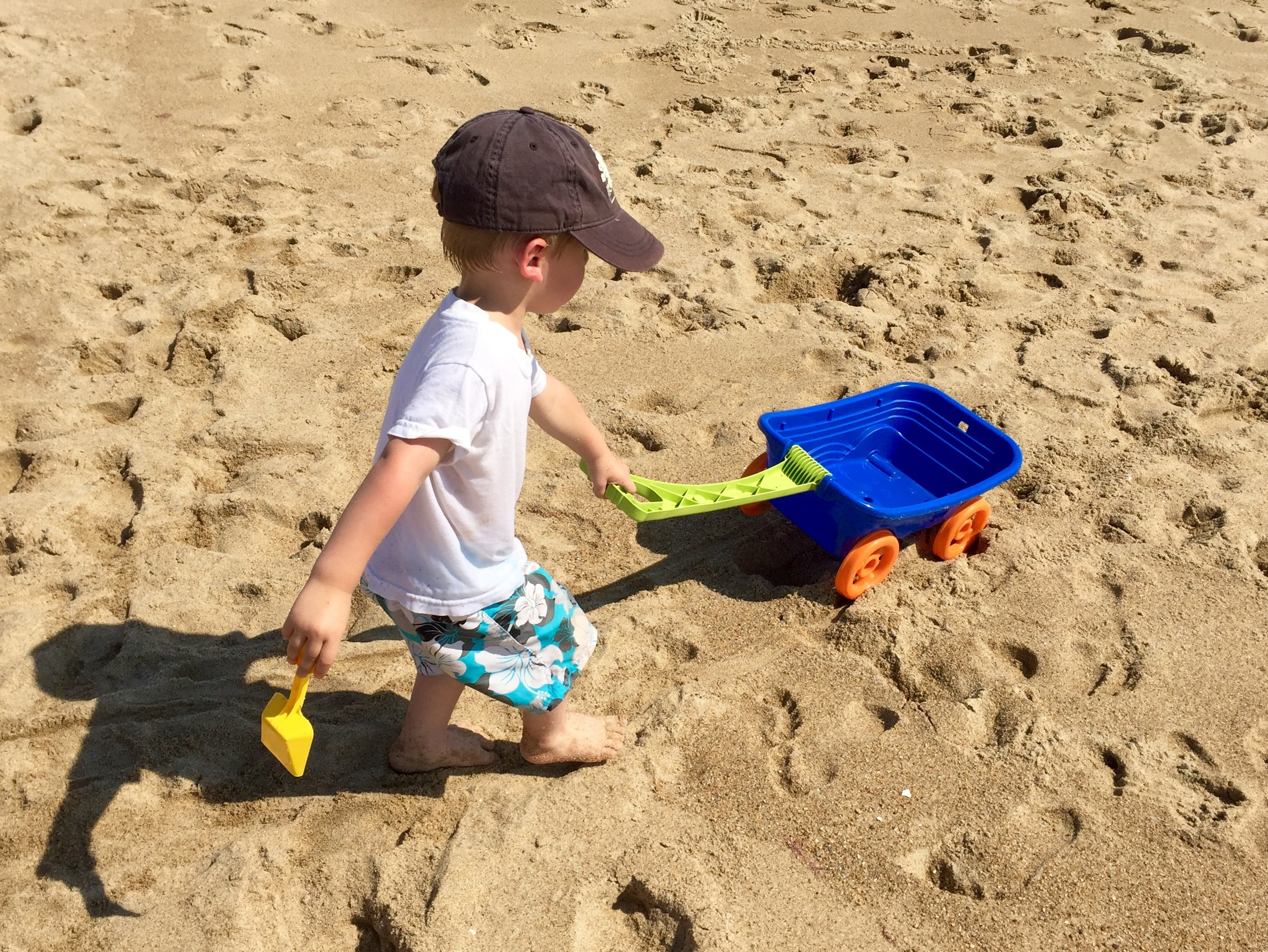 lifestyles, shore, men, sand, vacation, 2K, playing, sunlight, boy, play, summer, high angle view, real people, family, sand pail and shovel, pull, leisure activity, HD Wallpaper