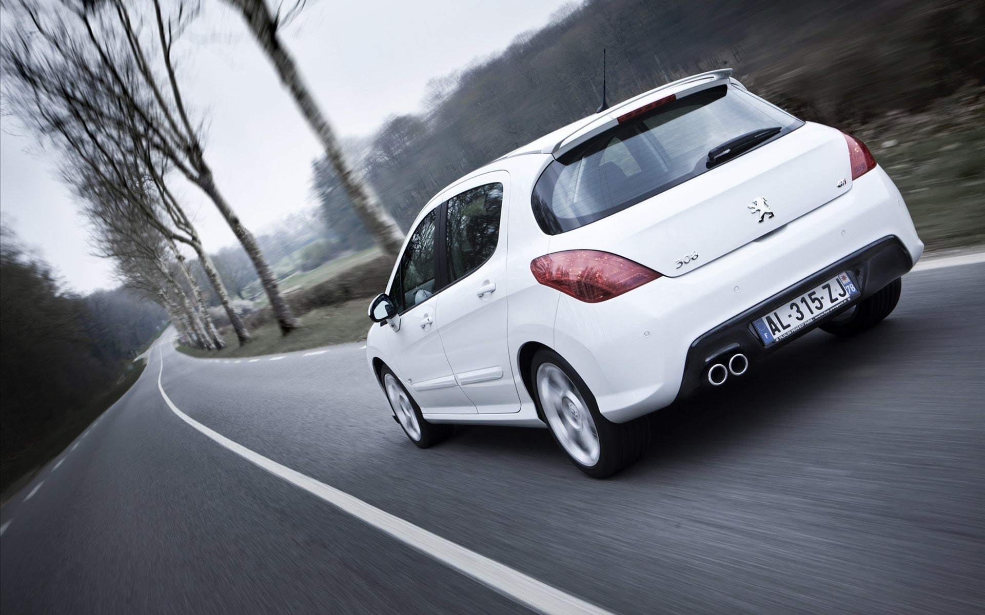 motor vehicle, 1080P, door, white, road trip, motion, blurred motion, Peugeot, tree, travel, mode of transportation, plant, transportation, journey, car, HD Wallpaper