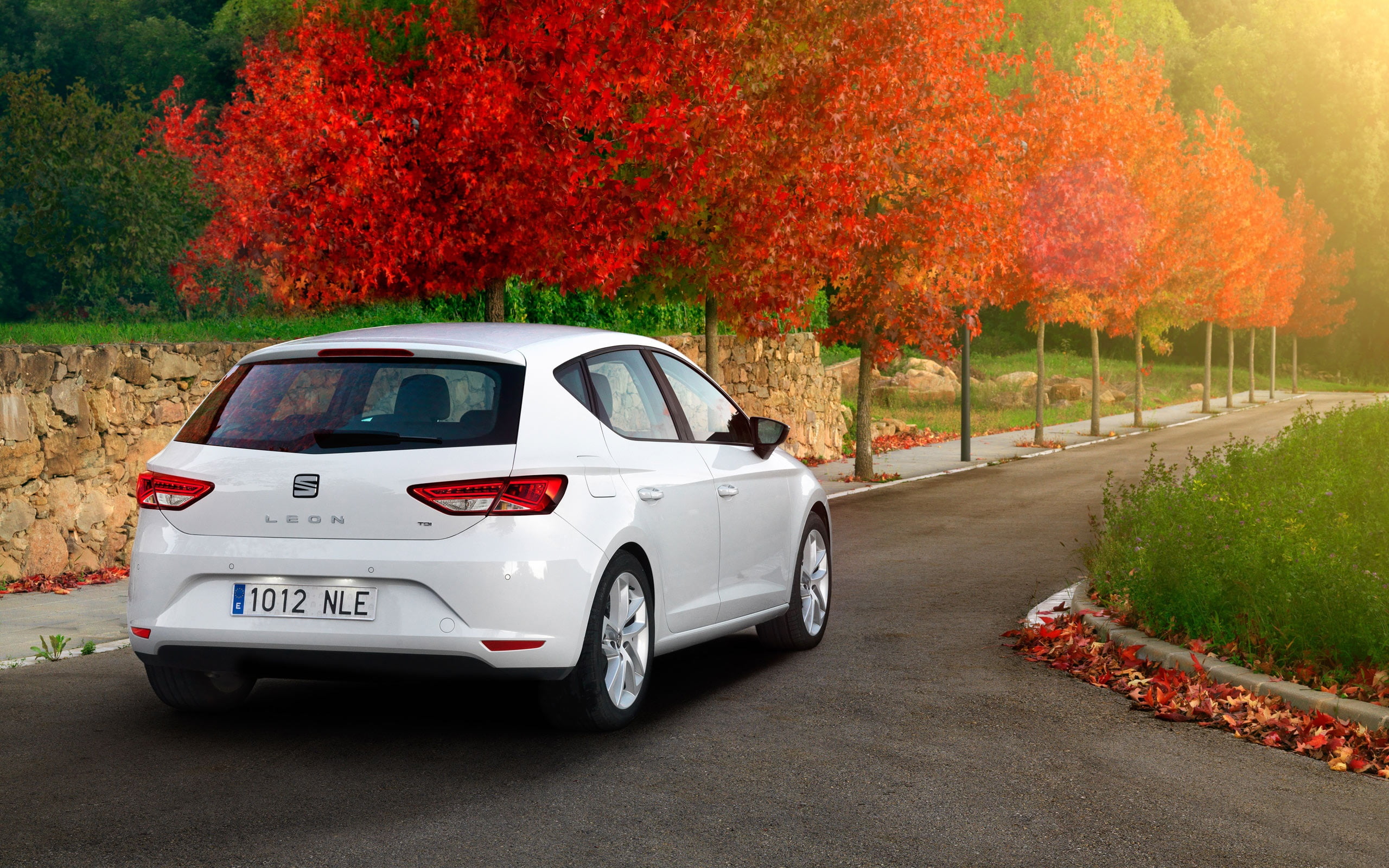outdoors, illusion, nature, white, car, orange color, 2K, road, city, leon, hatchback, door, mode of transportation, no people, 2012, tree, HD Wallpaper