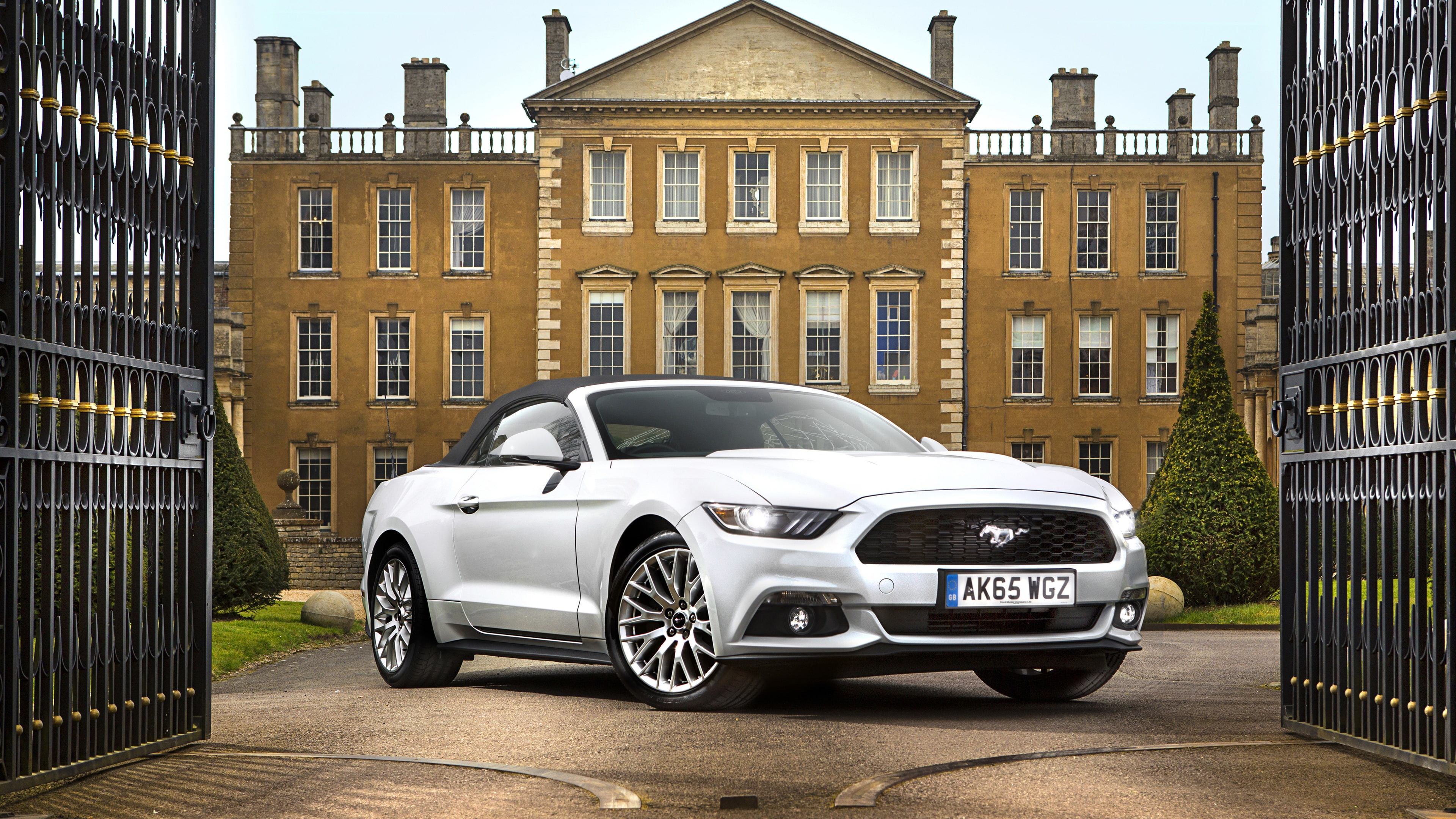 Mustang, Car, White, vehicle, 4K, Ford, gray, Convertible, GT, HD Wallpaper