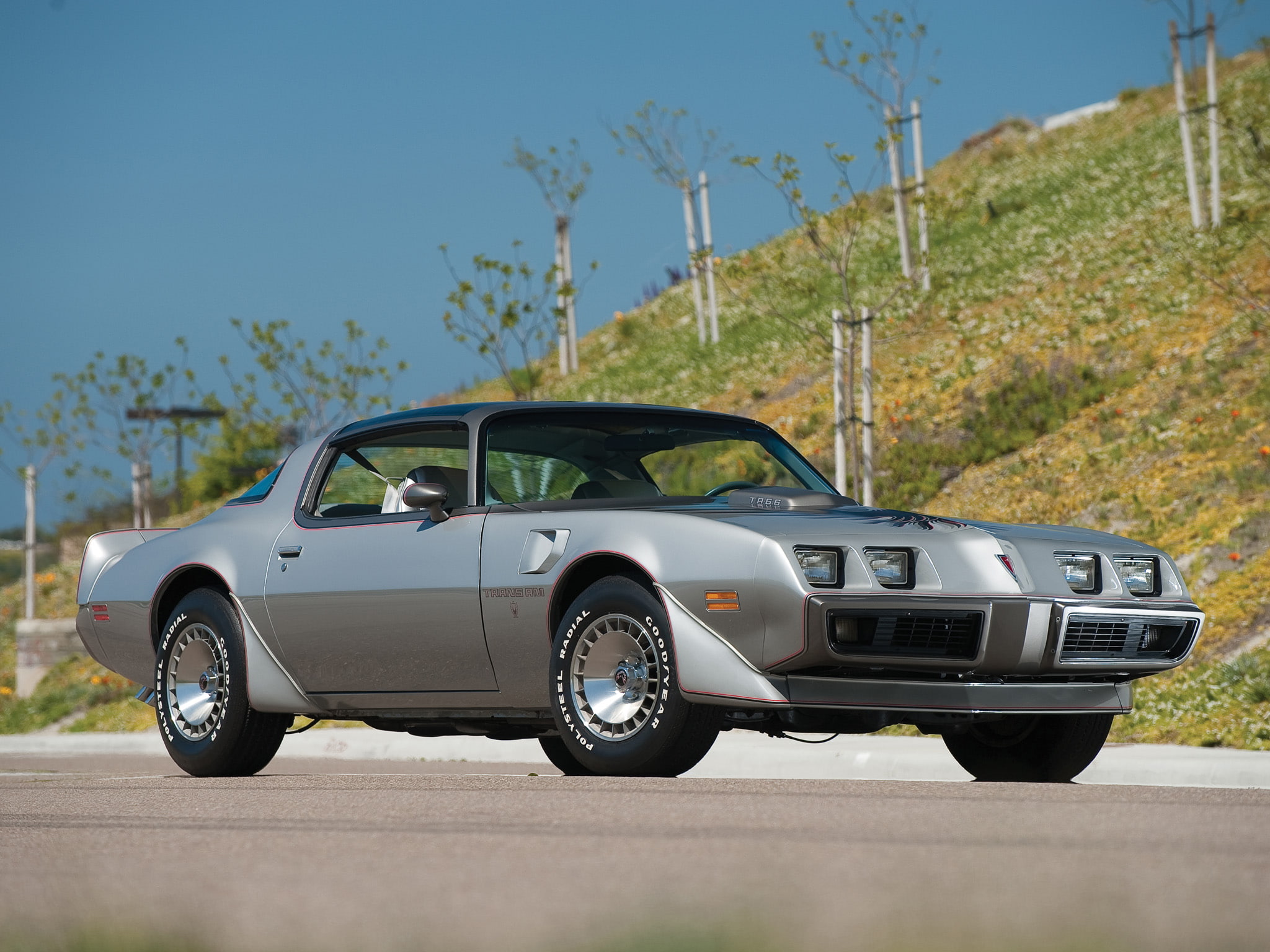 muscle, firebird, 6 6, trans, l78, 1080P, t a, pontiac, 1979, classic, HD Wallpaper