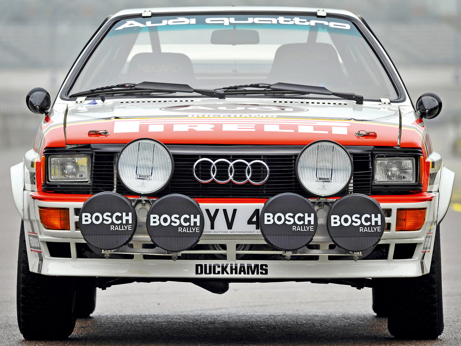 1981, quattro, typ 85, race, racing, rally, car, 720P, group 4, audi, HD Wallpaper