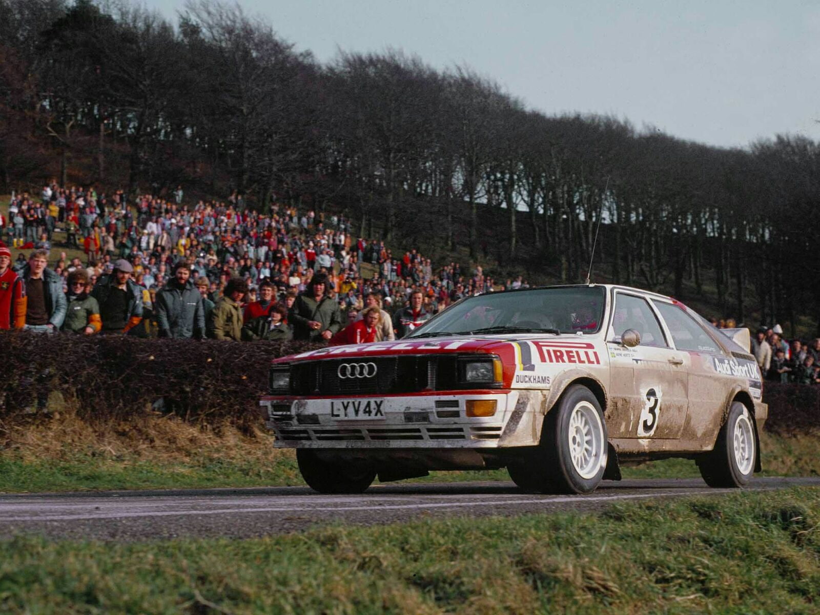 rally, group 4, race, 1981, 720P, typ 85, audi, car, racing, quattro, HD Wallpaper