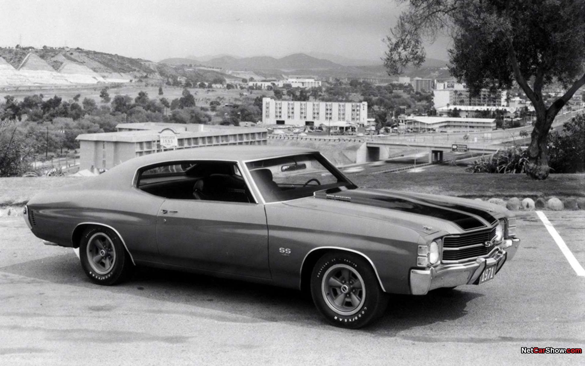 1080P, hd, art, chevrolet, muscle cars, monochrome, ss, cars, muscle, chevelle, x, greyscale, HD Wallpaper