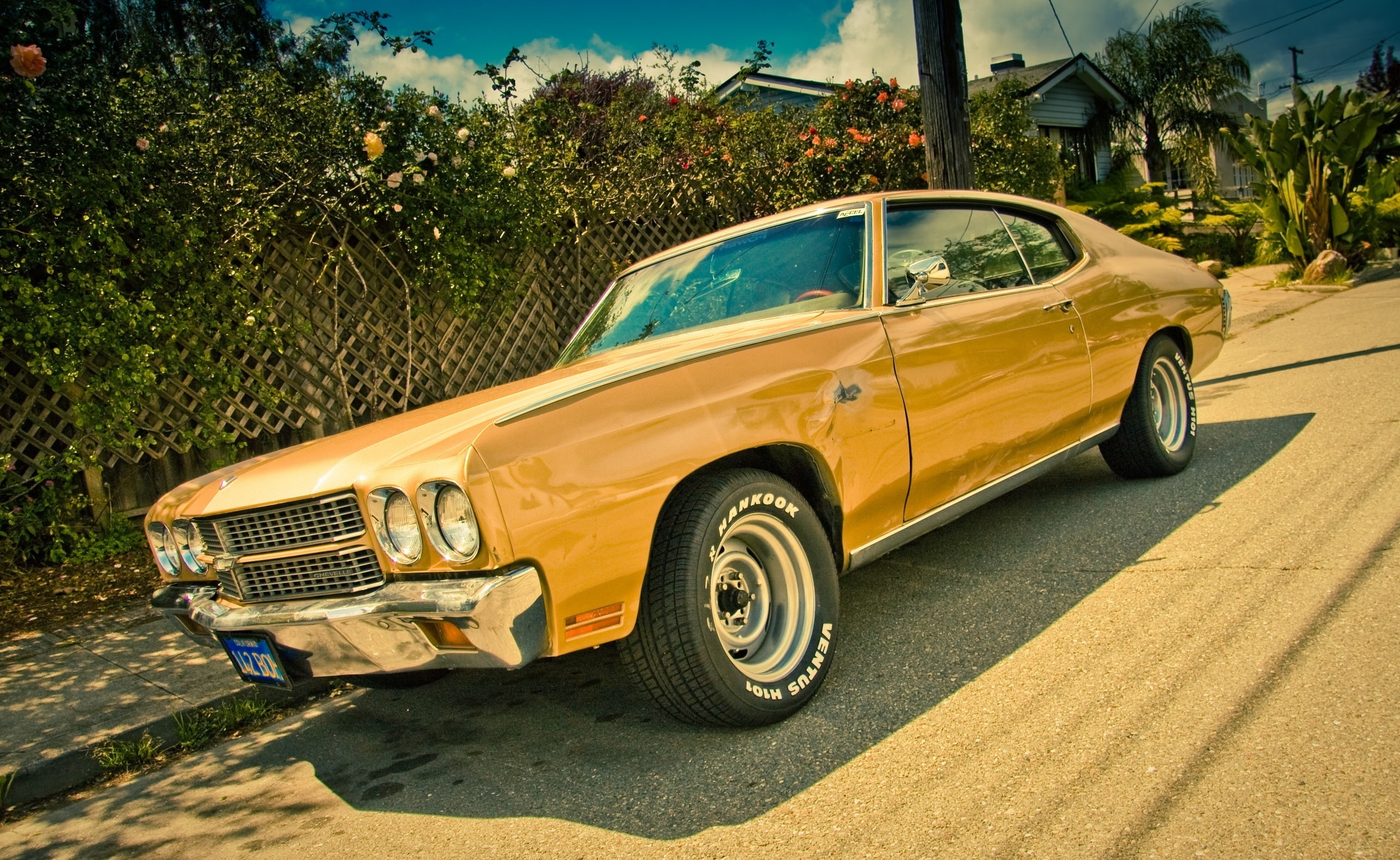 Chevrolet, land vehicle, tree, Chevelle, car, ss, sunlight, no people, shadow, mode of transportation, yellow, nature, street, vintage car, road, classic, HD Wallpaper