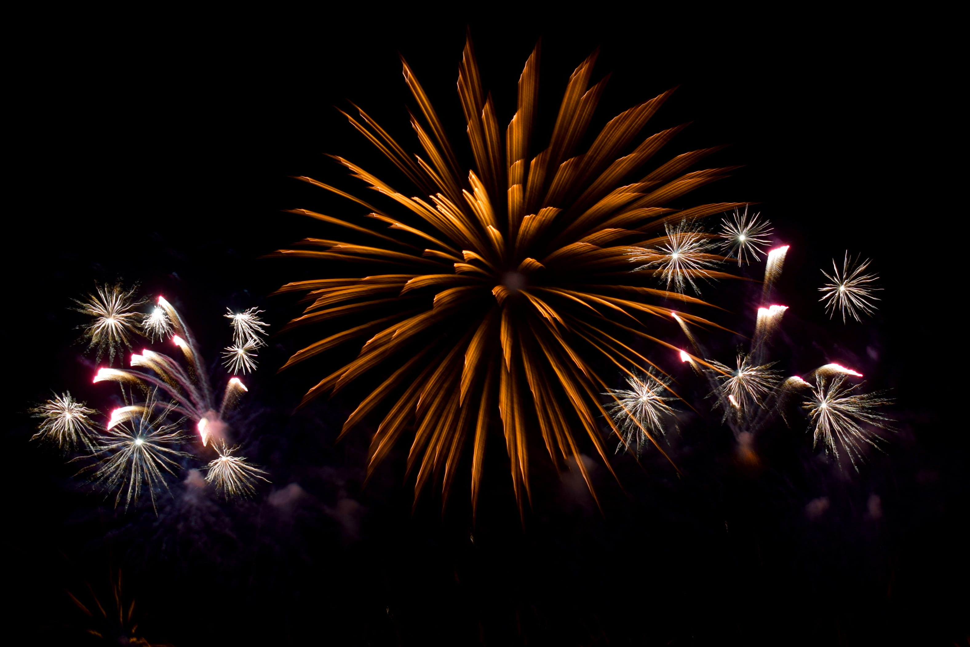 nature, prague, glowing, celebration, black background, diwali, firework - man made object, flower, 2K, new year, outdoors, czechia, three, event, sky, HD Wallpaper