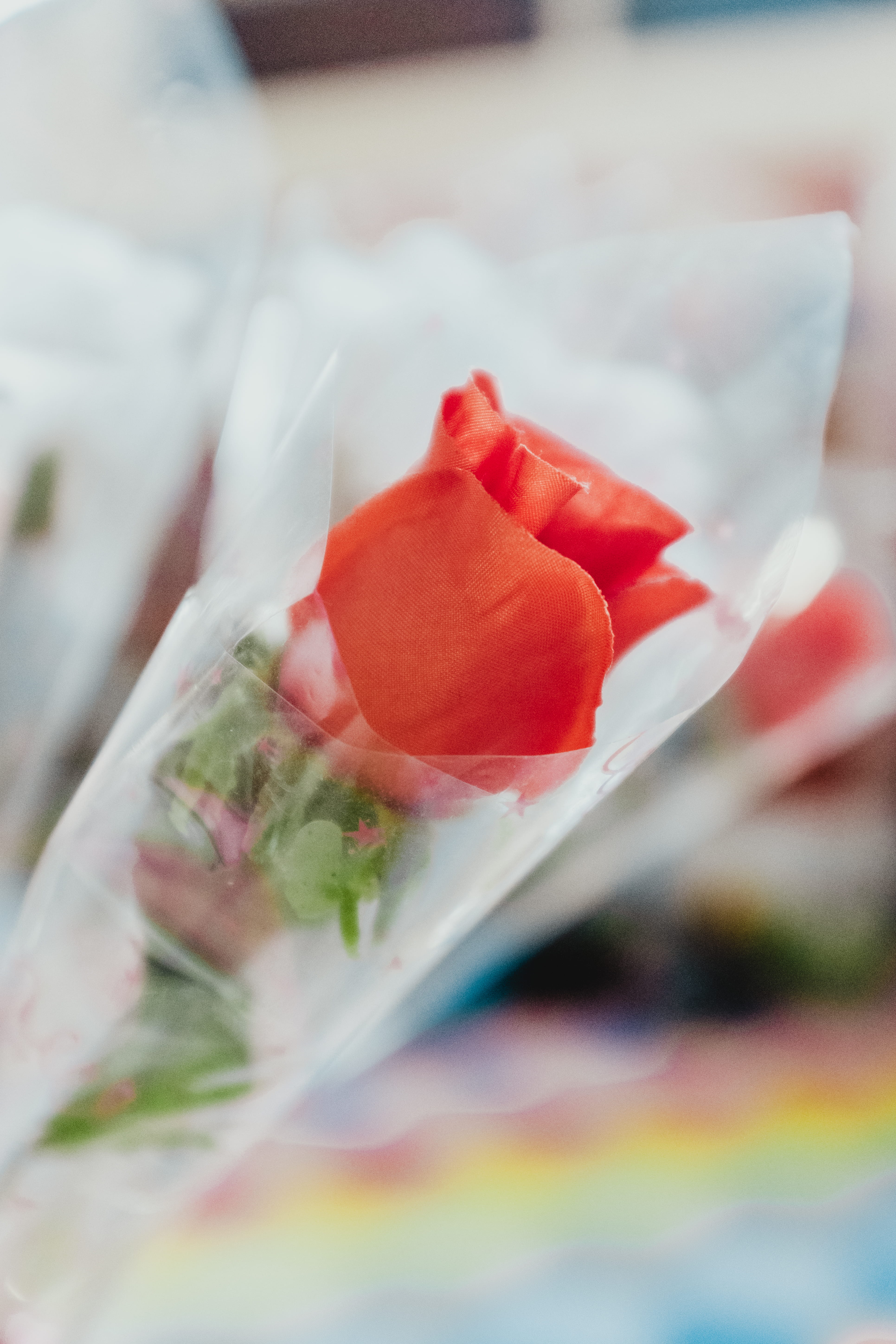 flower, food and drink, flowering plant, love, bakugan, ubud, gift, fake, women, asia, sweet, roses, no people, focus on foreground, bouquet, freshness, Phone HD Wallpaper