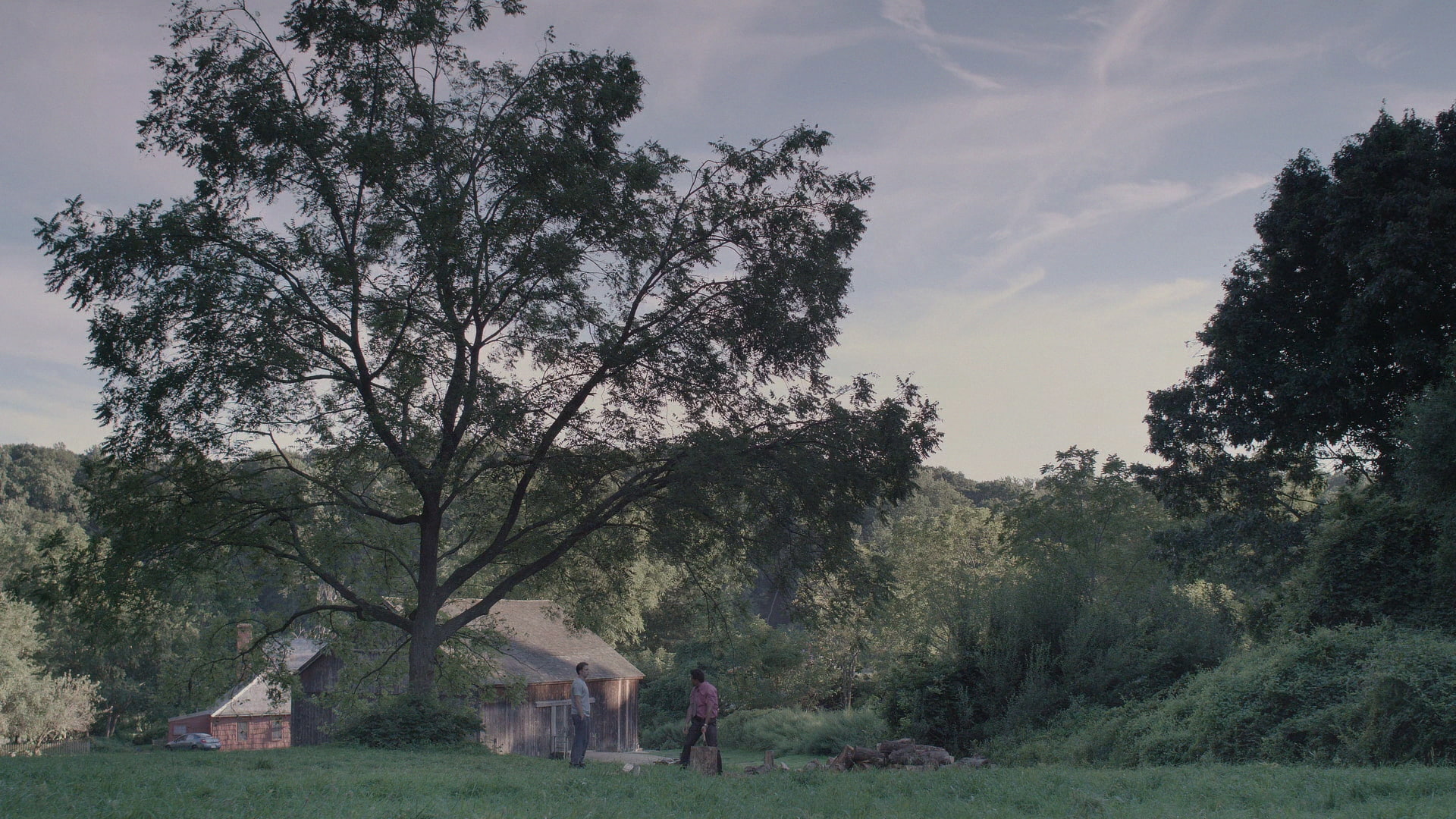 Mr. Robot, tv series, landscape, nature, TV, 1080P, trees, HD Wallpaper