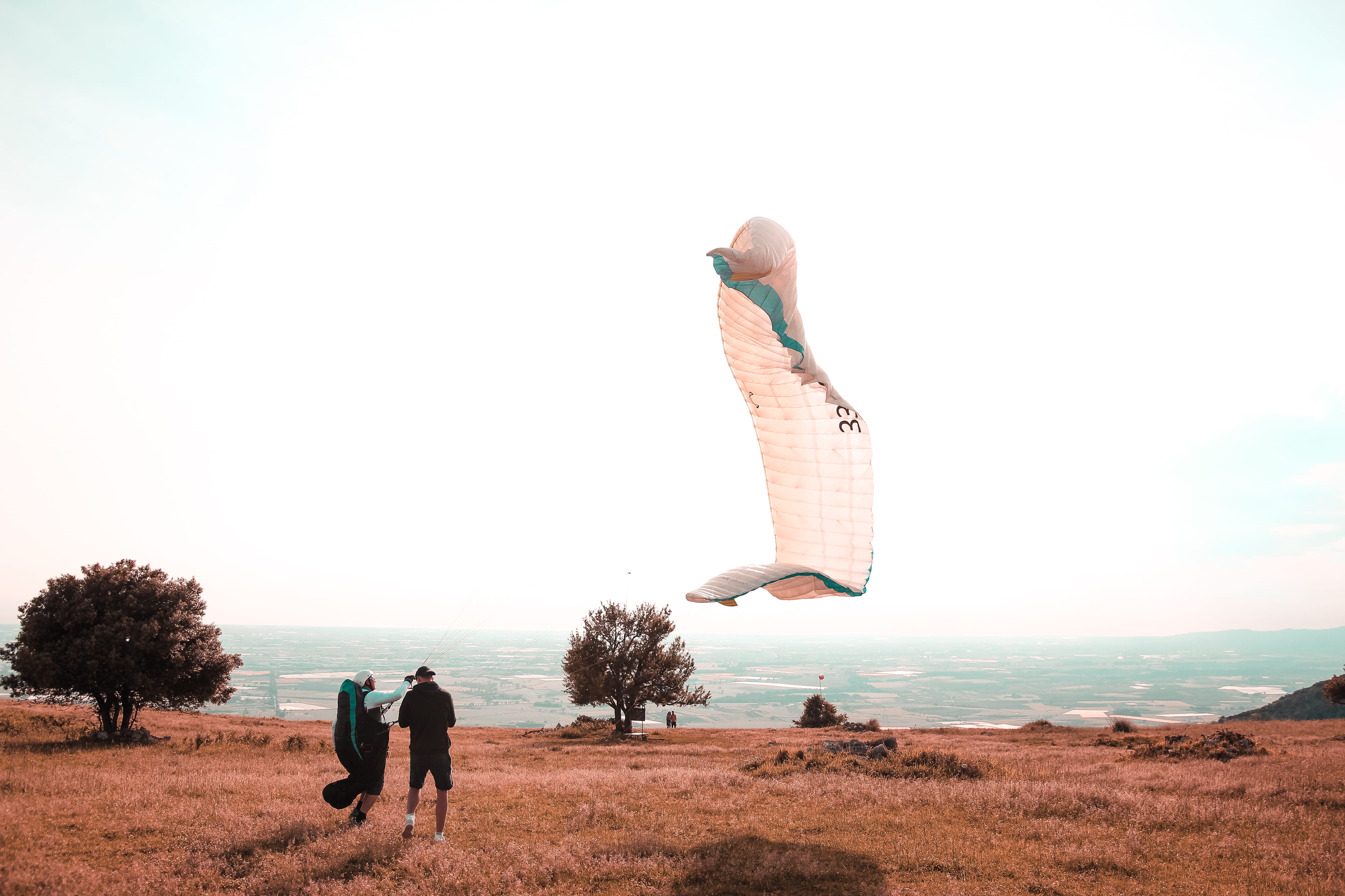 italy, animal, togetherness, real people, gliding, shadow, clear sky, kite, day, beauty in nature, man, leisure activity, sunlight, human, outdoors, field, HD Wallpaper