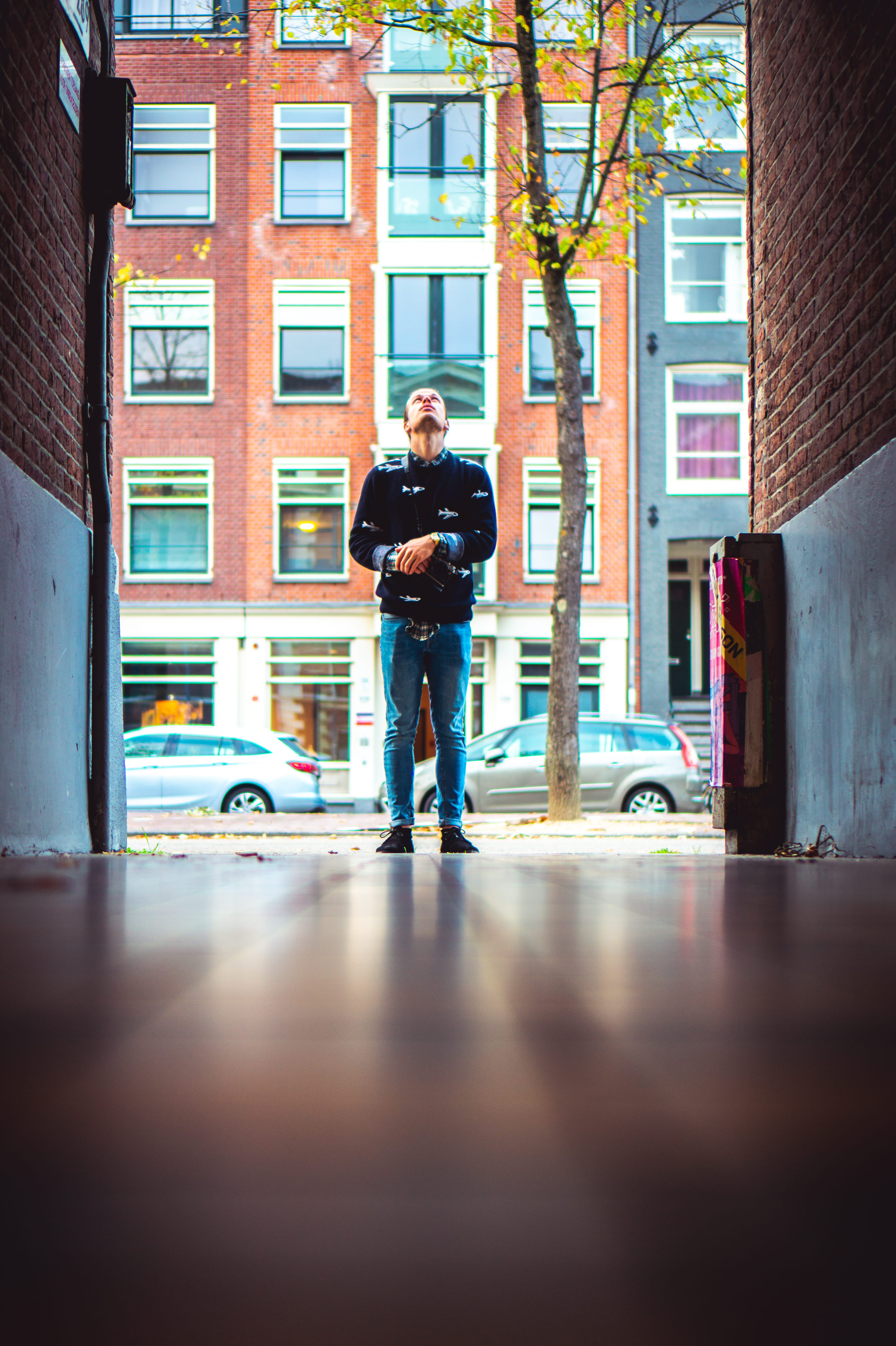 plant, people, front view, buildings, transportation, stained glass, man, city, full length, walking, men, day, 4K, vehicle, automobile, human, standing, Phone HD Wallpaper
