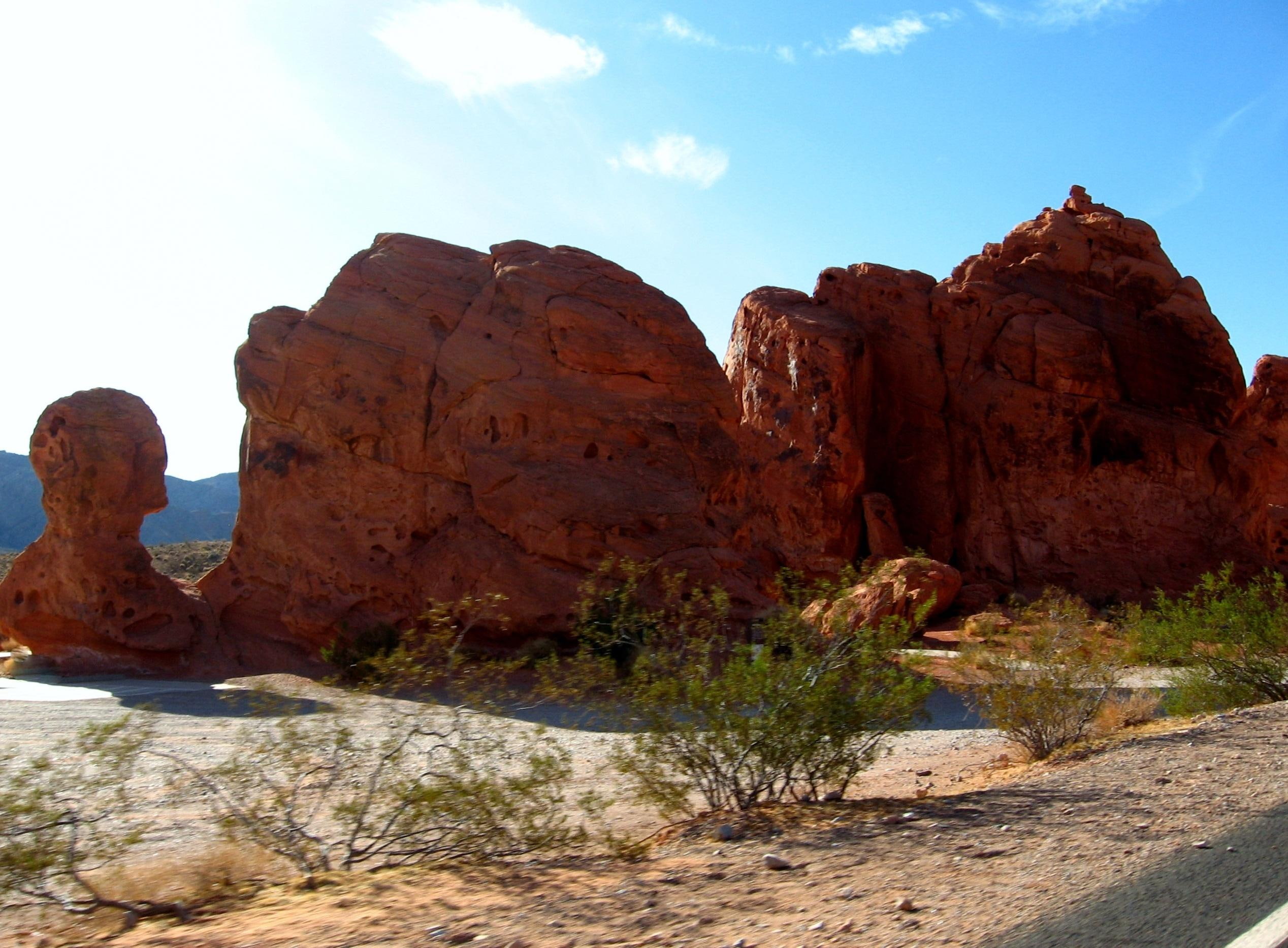 1080P, red rock, head, rock, brush, desert, bust, 3d and abstract, valley of fire, fire, valley, rock bust, HD Wallpaper