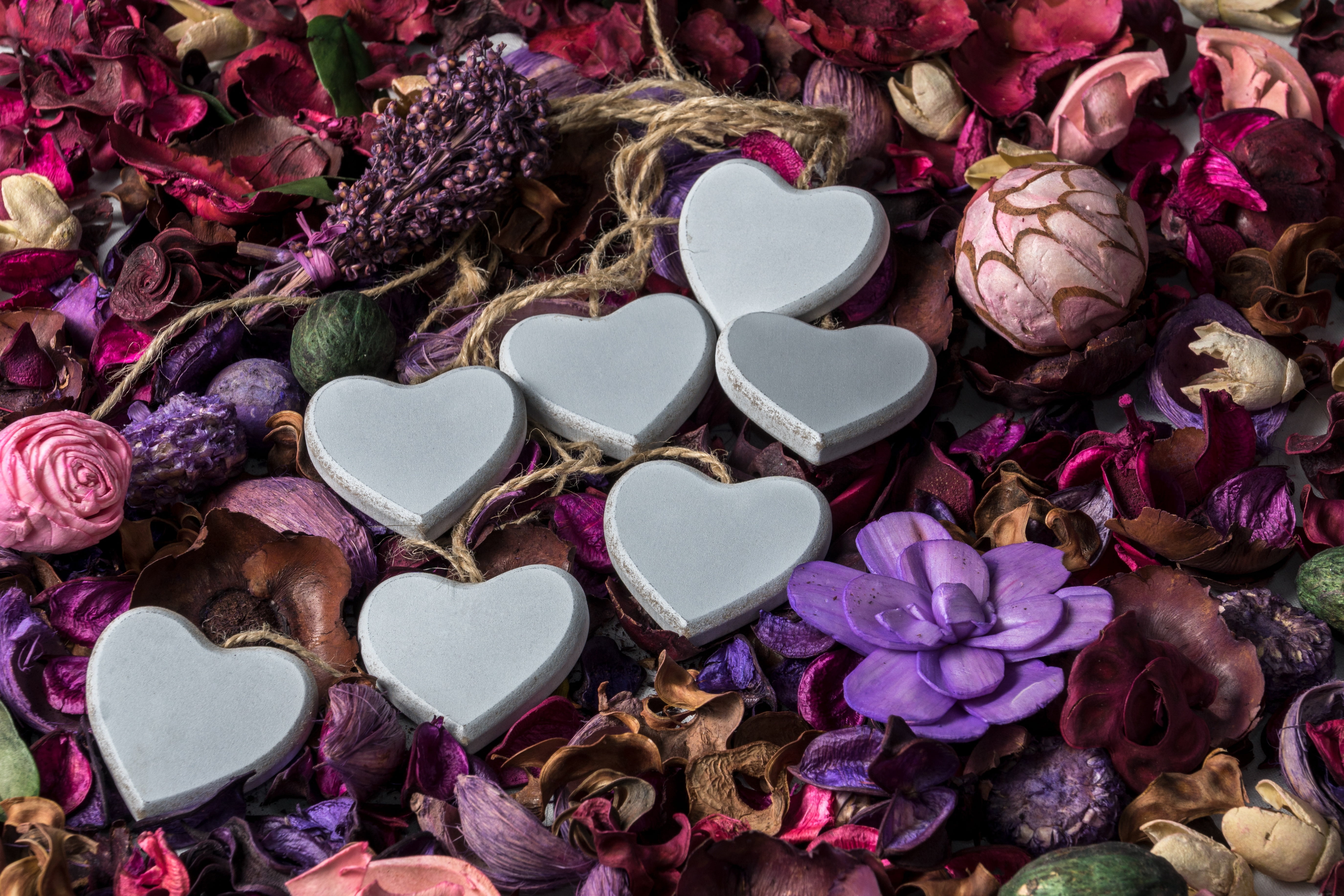 lot, hearts, outdoors, choice, no people, color, day, directly above, assorted, close-up, 5K, flowers, freshness, high angle view, product, flower, nature, HD Wallpaper