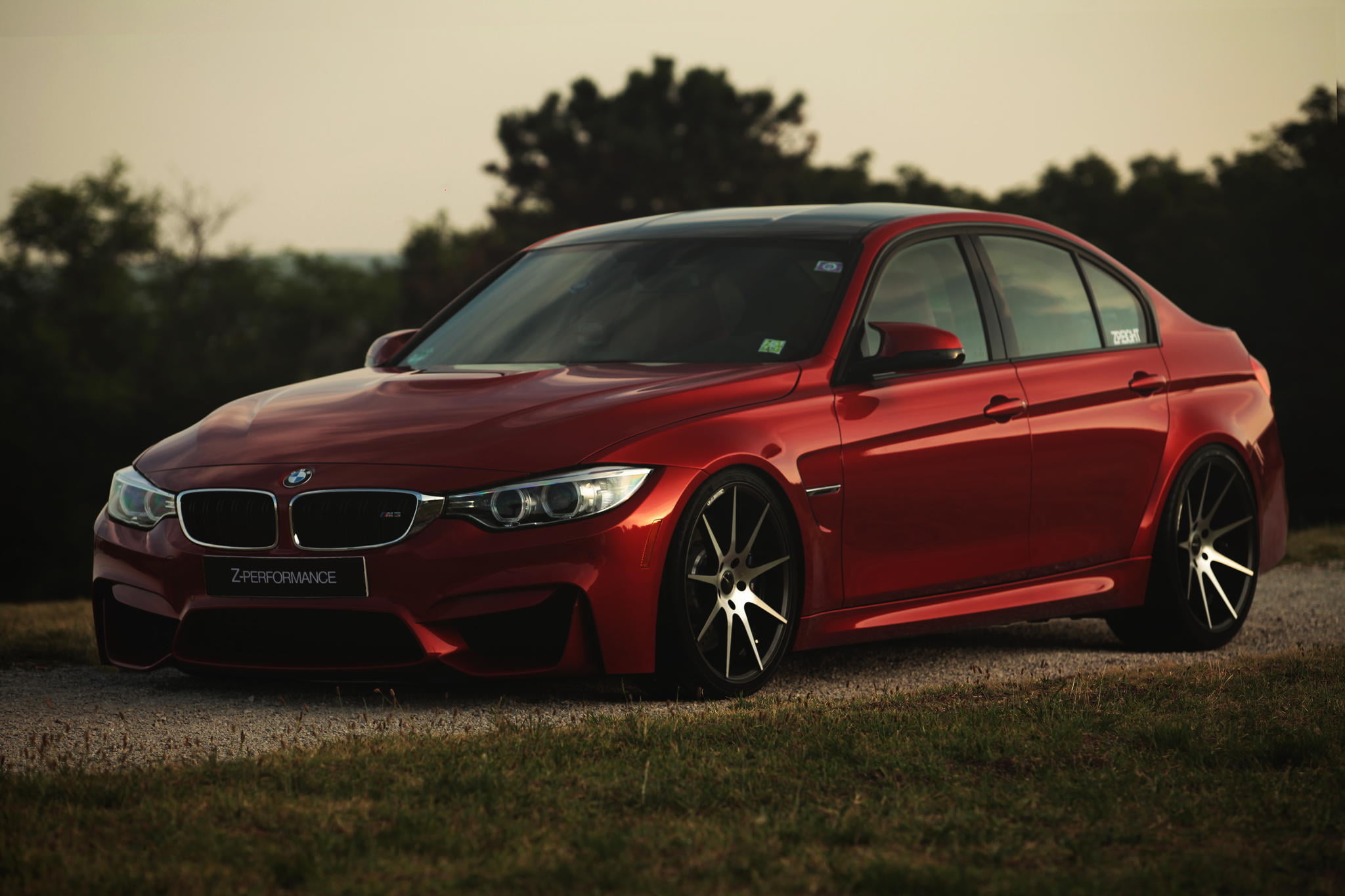 car, land vehicle, motor vehicle, sedan, tree, profile view, outdoors, toy, RED, focus on foreground, F80, day, z-performance, mode of transportation, nature, HD Wallpaper