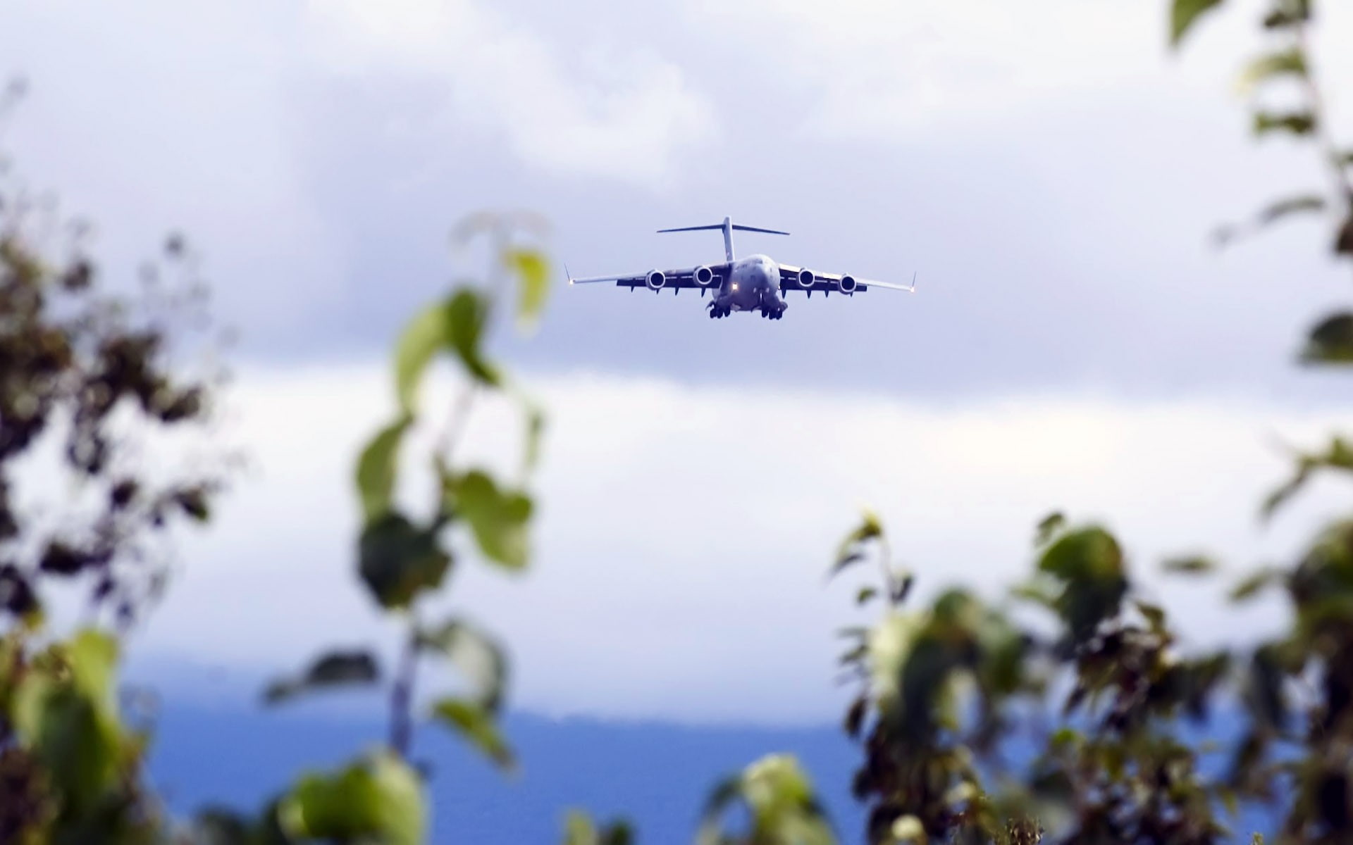1080P, airplane, depth of field, Boeing C-17 Globemaster III, HD Wallpaper