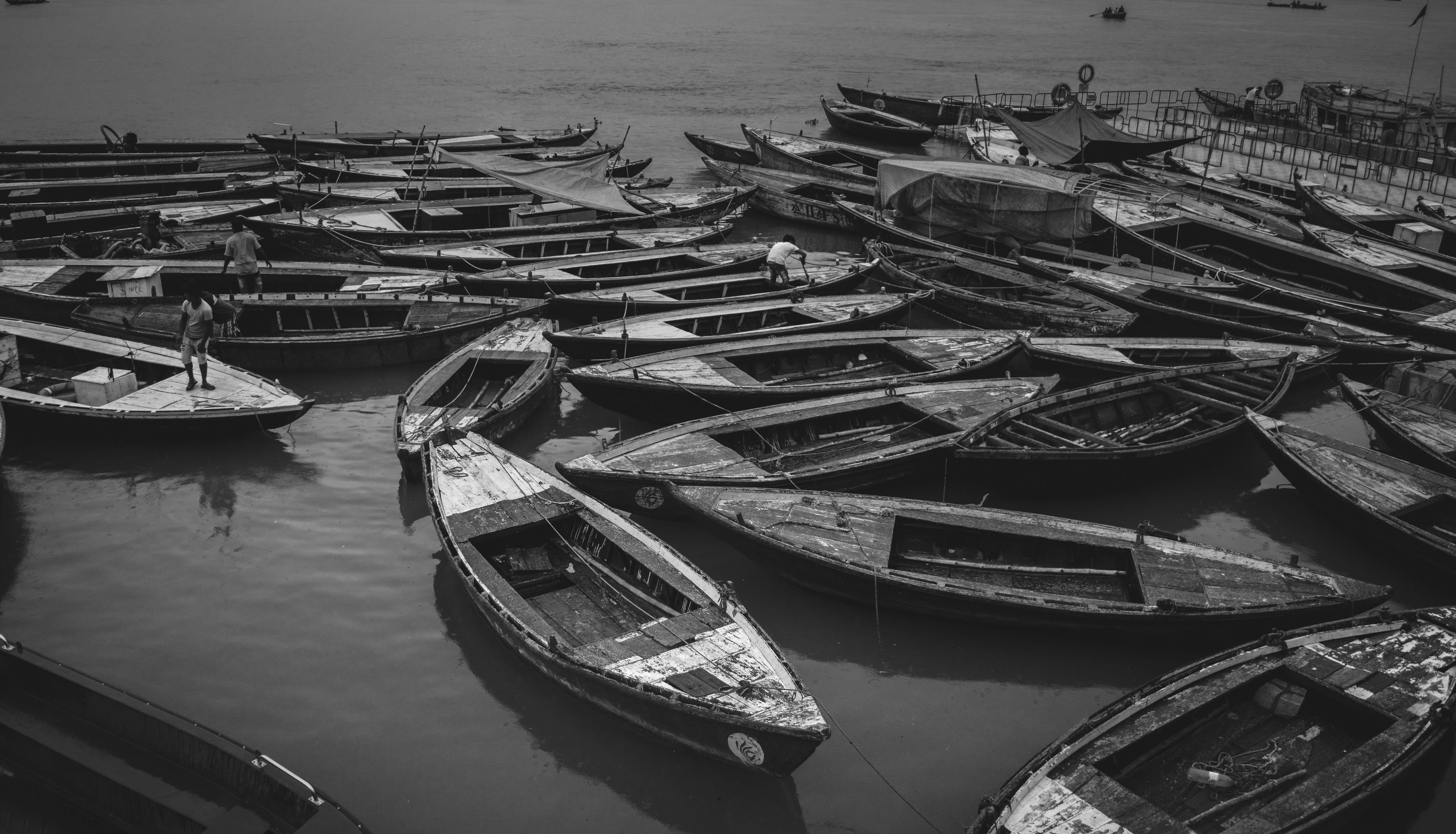 travel destinations, transportation, day, rowboat, sea, body, in a row, mode of transportation, rowing, moored, no people, water, photography, outdoors, HD Wallpaper
