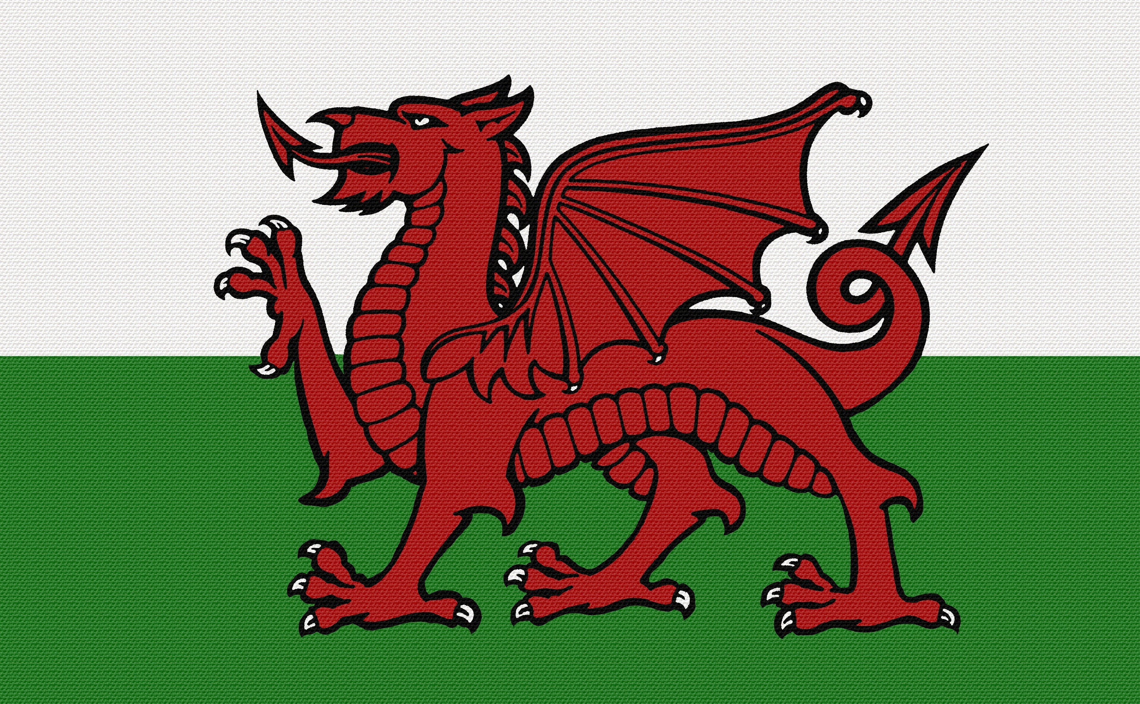 animal wildlife, red, green, welsh, indoors, craft, creativity, welsh dragon, art, economy, vertebrate, ddraig, representation, dragon, clip, red dragon, HD Wallpaper