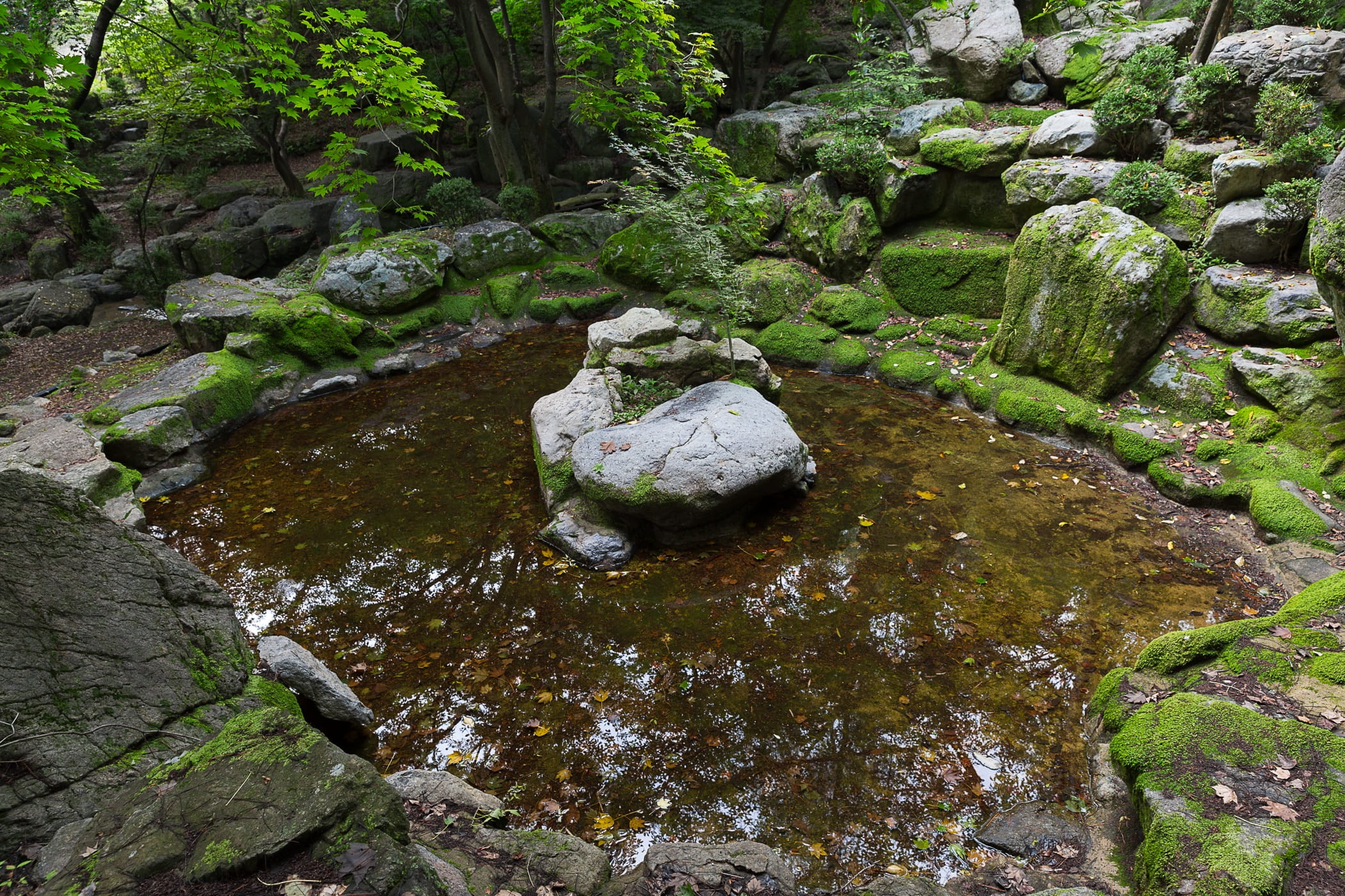 Gyeongju, landscape, 1080P, Travel, tranquility, Daegu, scenics, stone, National, nature, rock - Object, green Color, stream - flowing water, Korea, stream, HD Wallpaper