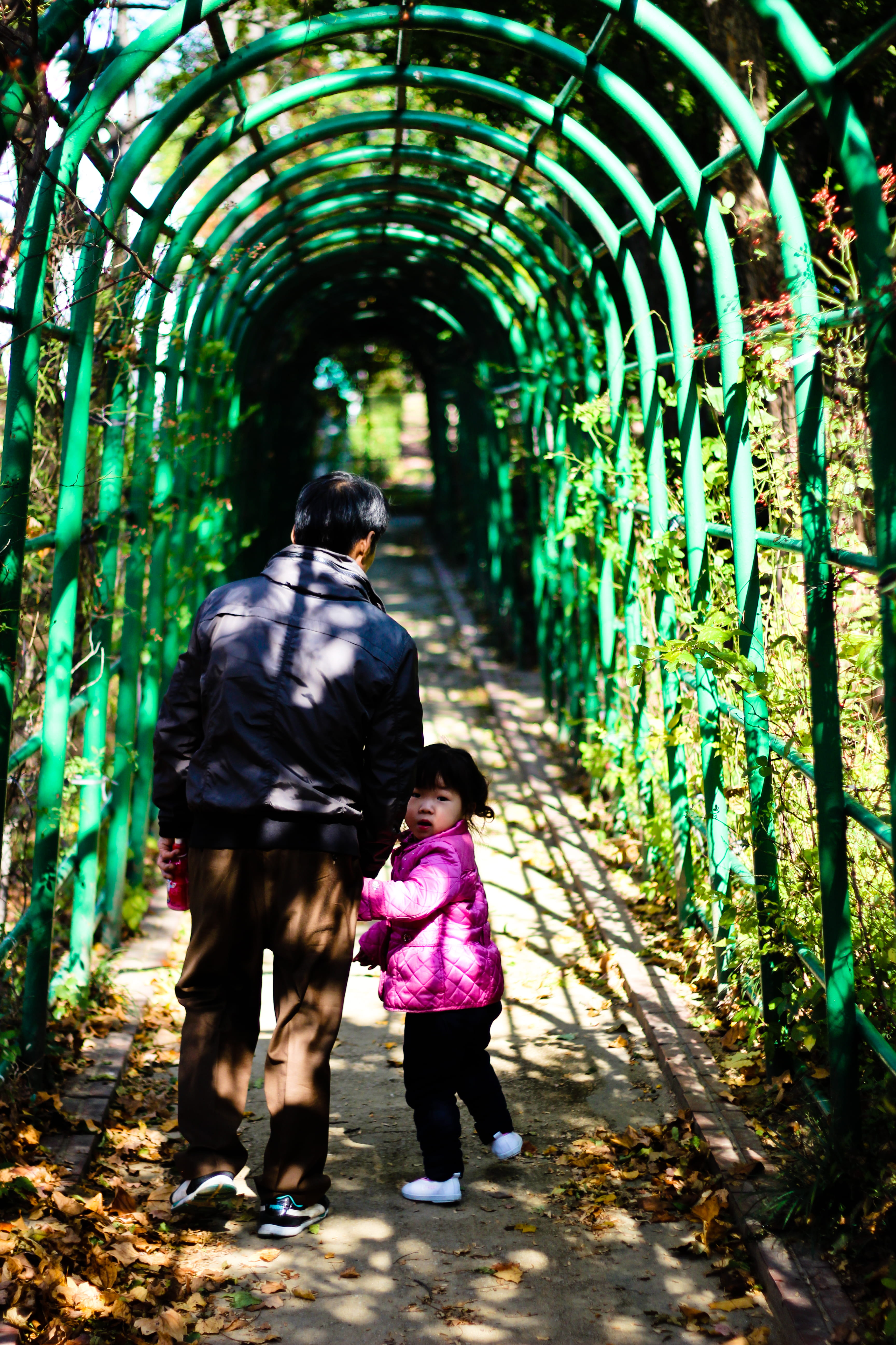 south korea, daegu, walk, outdoors, bonding, leisure activity, casual clothing, lifestyles, rear view, daughter, family, childhood, togetherness, the way forward, Phone HD Wallpaper