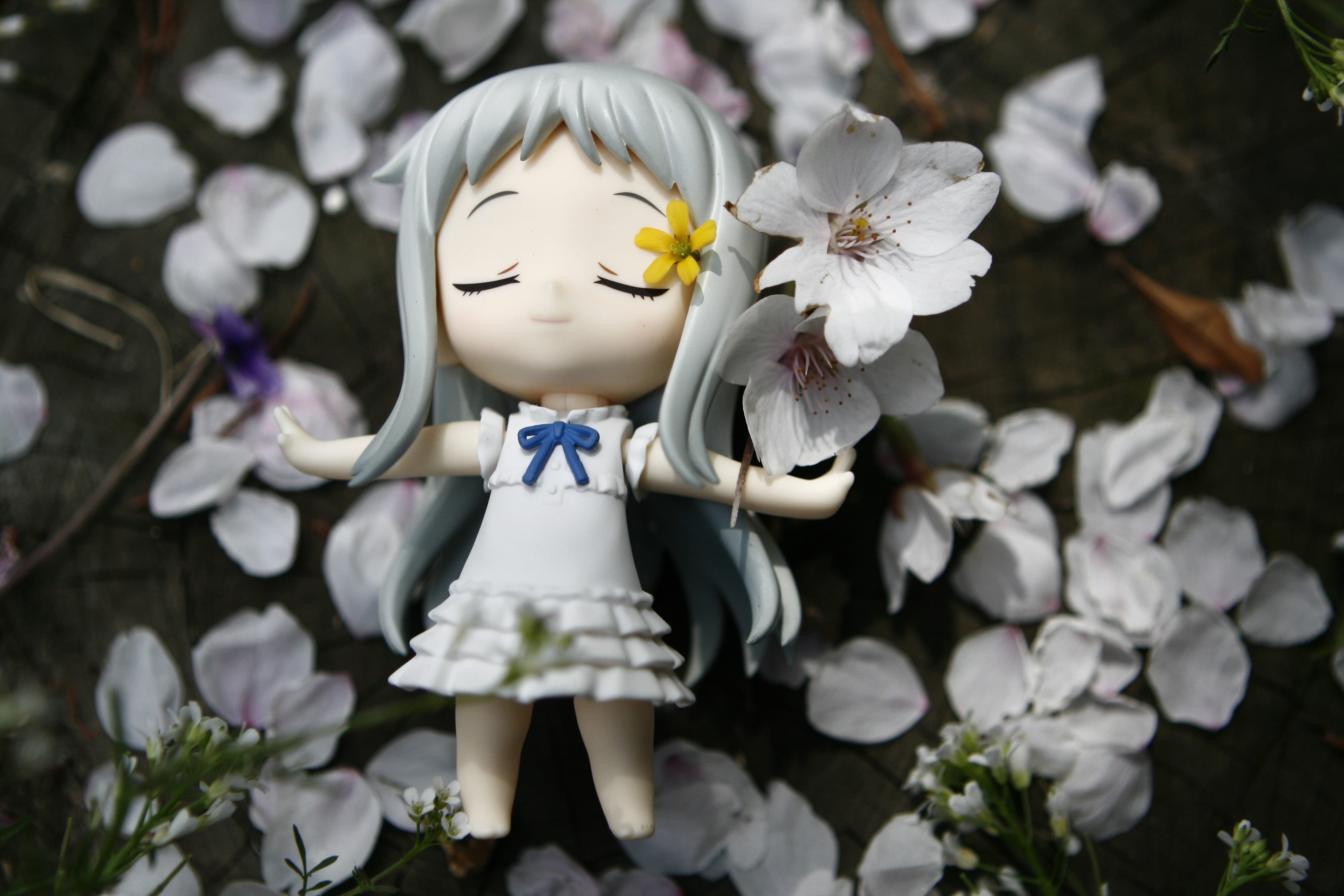 inflorescence, petal, vulnerability, plant, 4K, day, fragility, anohana, nature, toy, flower head, male likeness, figure, flowering plant, representation, HD Wallpaper