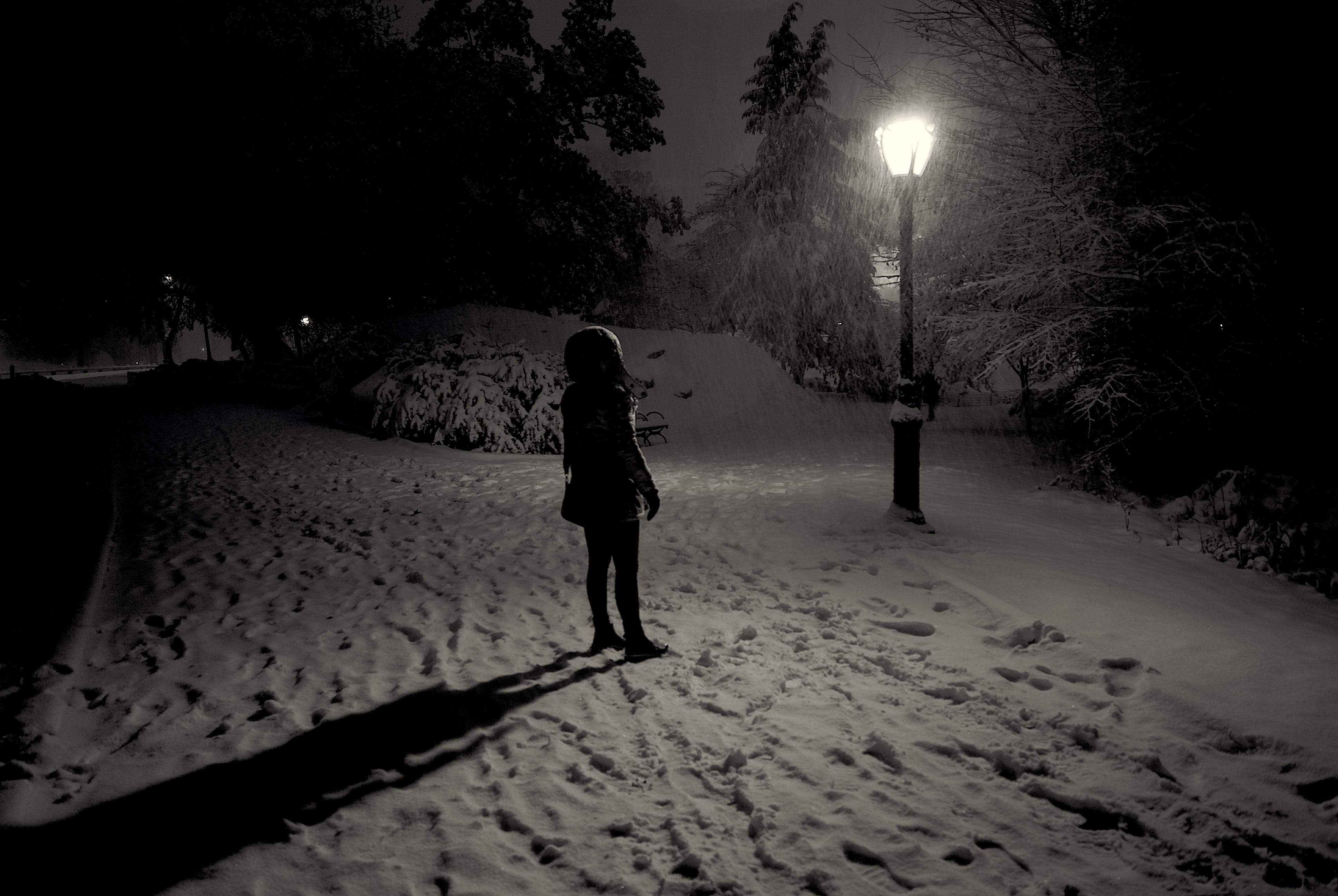 direction, central park, land, warm clothing, real people, shadow, tree, winter, one person, night, nature, plant, leisure activity, full length, women, HD Wallpaper