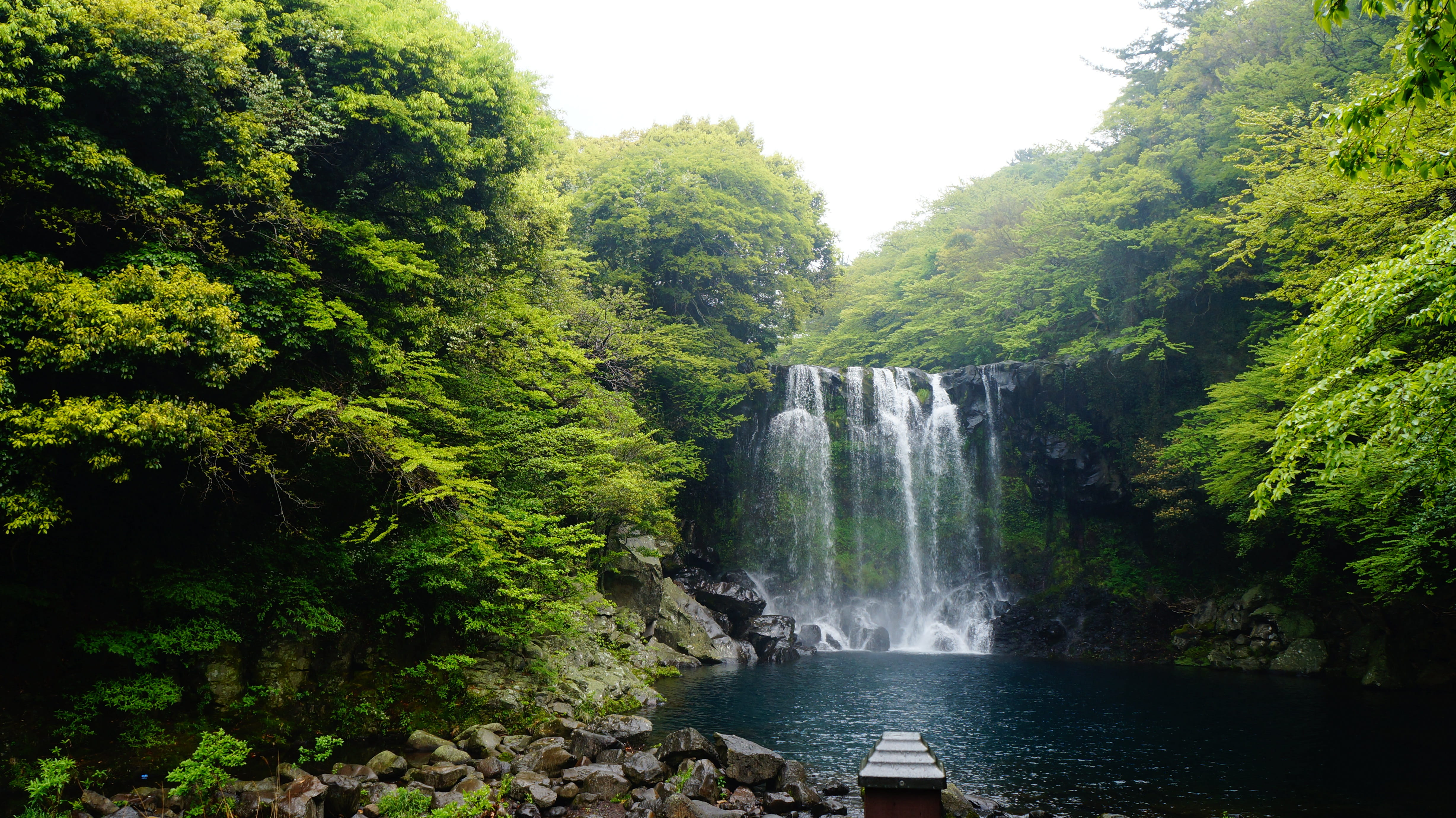 jeju island falls cheonjeyeon, growth, no people, tree, korea waterfall, jeju cheonjeyeon falls, cheonjeyeon falls, cheonjeyeon, outdoors, scenics - nature, HD Wallpaper