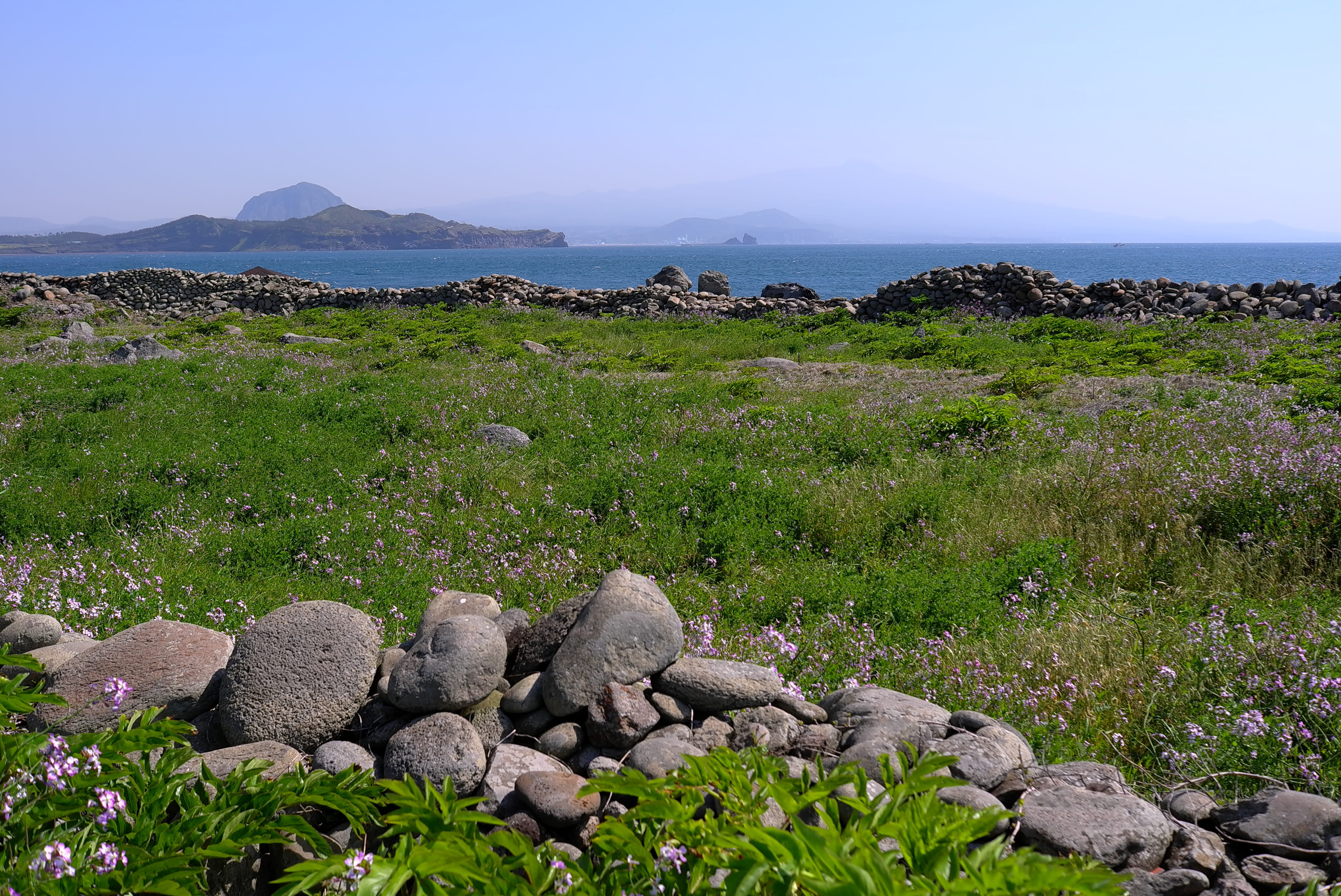scenery, blue, outdoors, sky, environment, grain, tranquility, panorama, green, solid, jeju island, cereal, rock, rural landscape, tour travel, horizontal, HD Wallpaper