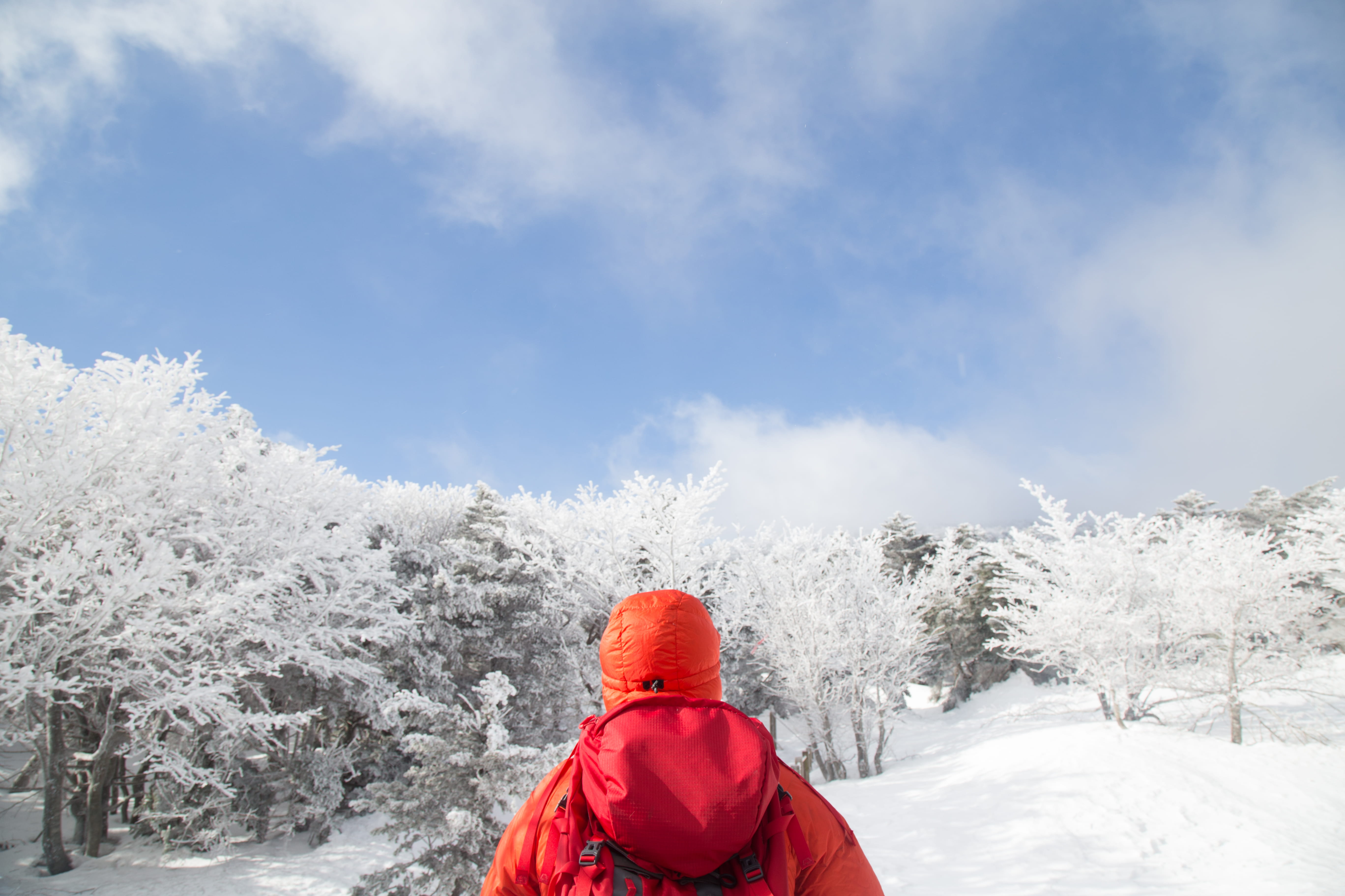hiking, beauty in nature, outdoors, clothing, plant, hike, sky, one person, jeju-do, warm clothing, leisure activity, cold temperature, extreme weather, HD Wallpaper